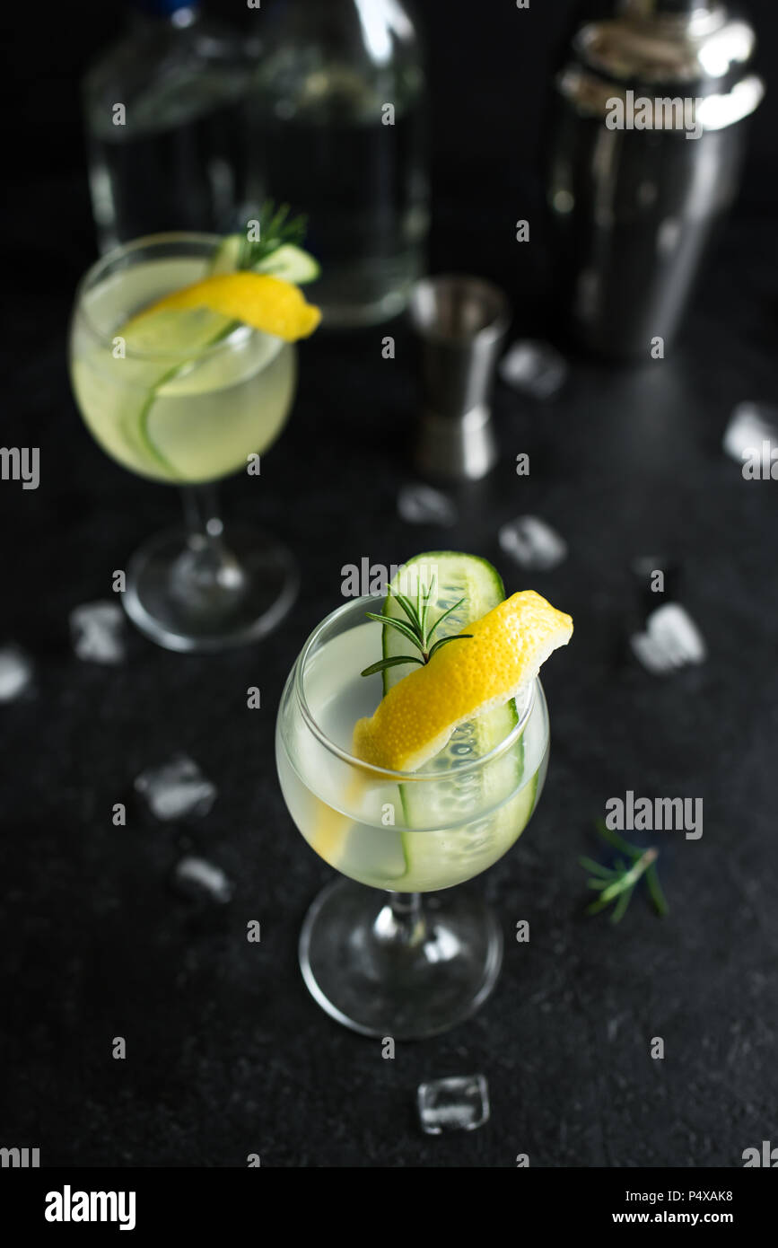 Gin fizz cocktail with lemon, cucumber, rosemary and ice. Gin tonic or