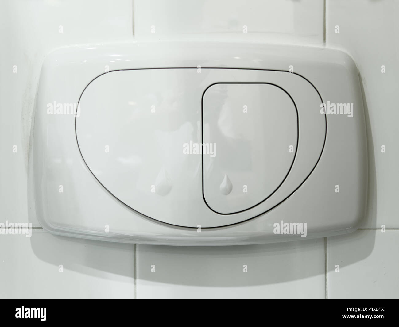 Toilet flush buttons bathroom Stock Photo Alamy