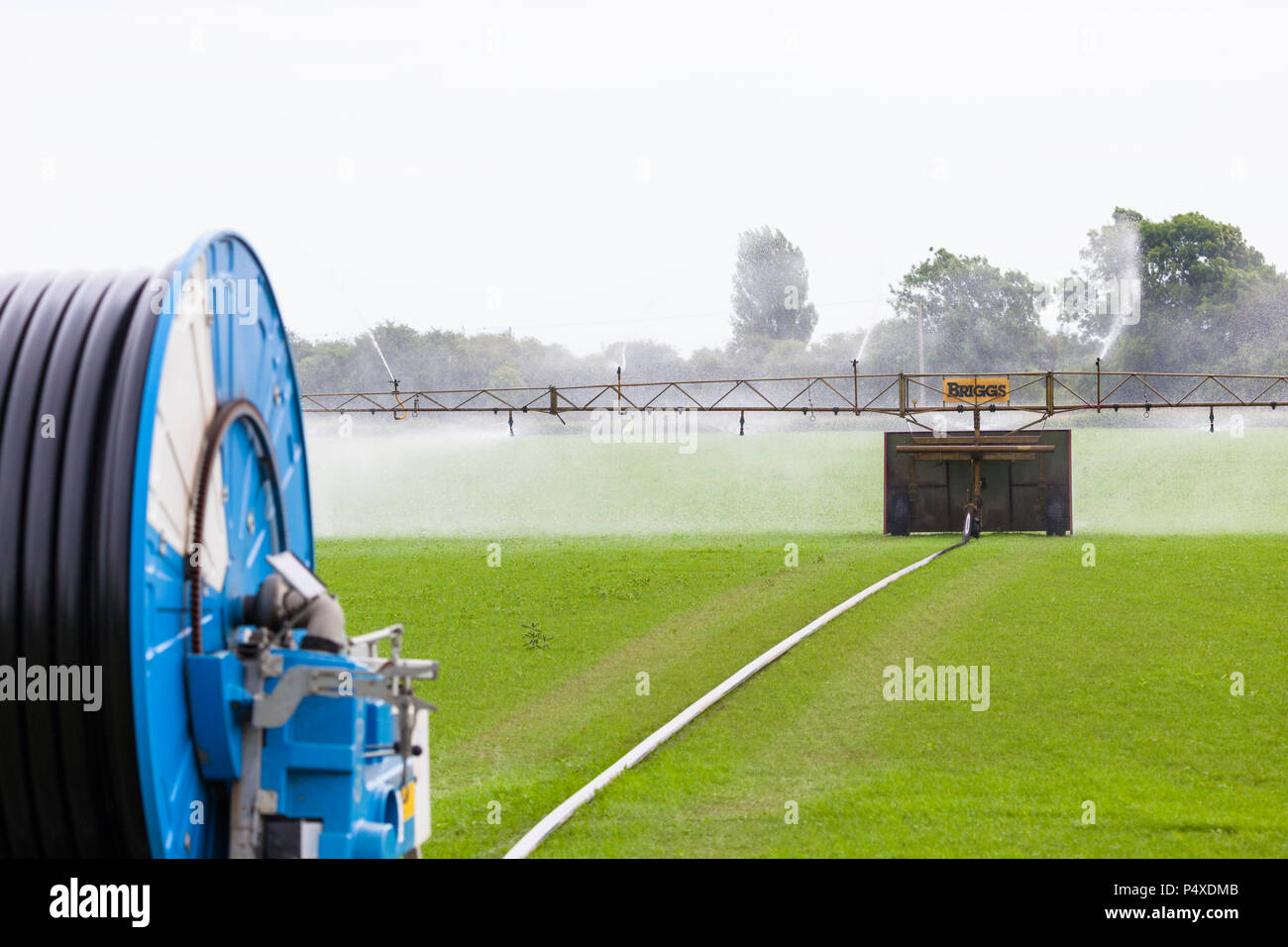 Watering crops, field irrigation, uk Stock Photo