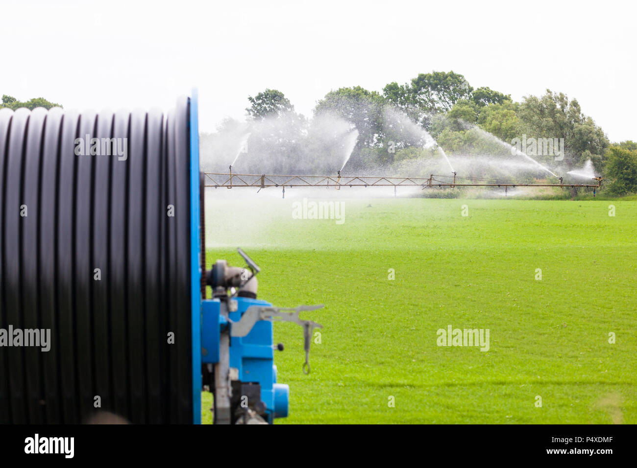 Watering crops, field irrigation, uk Stock Photo