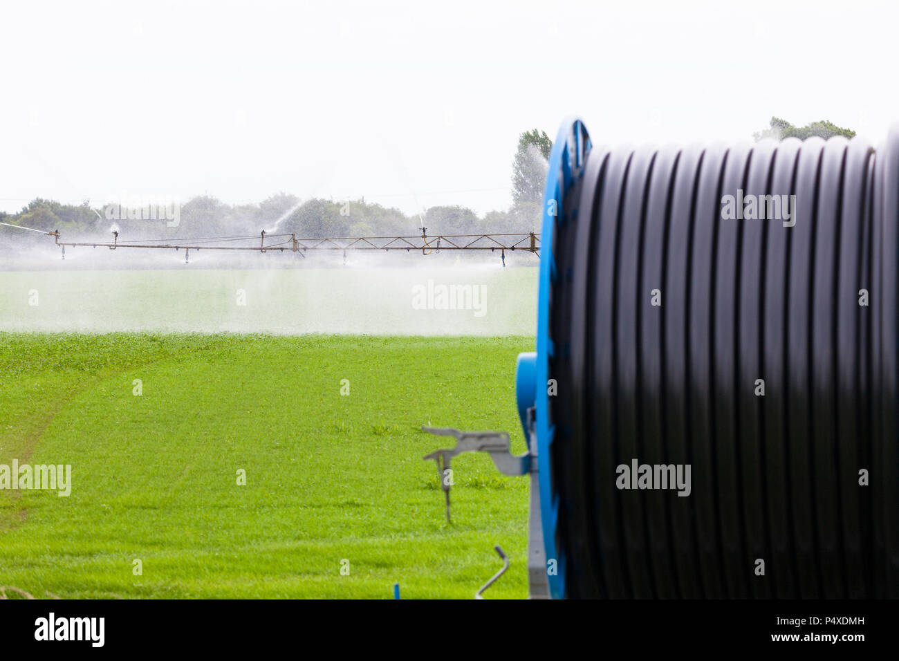 Watering crops, field irrigation, uk Stock Photo