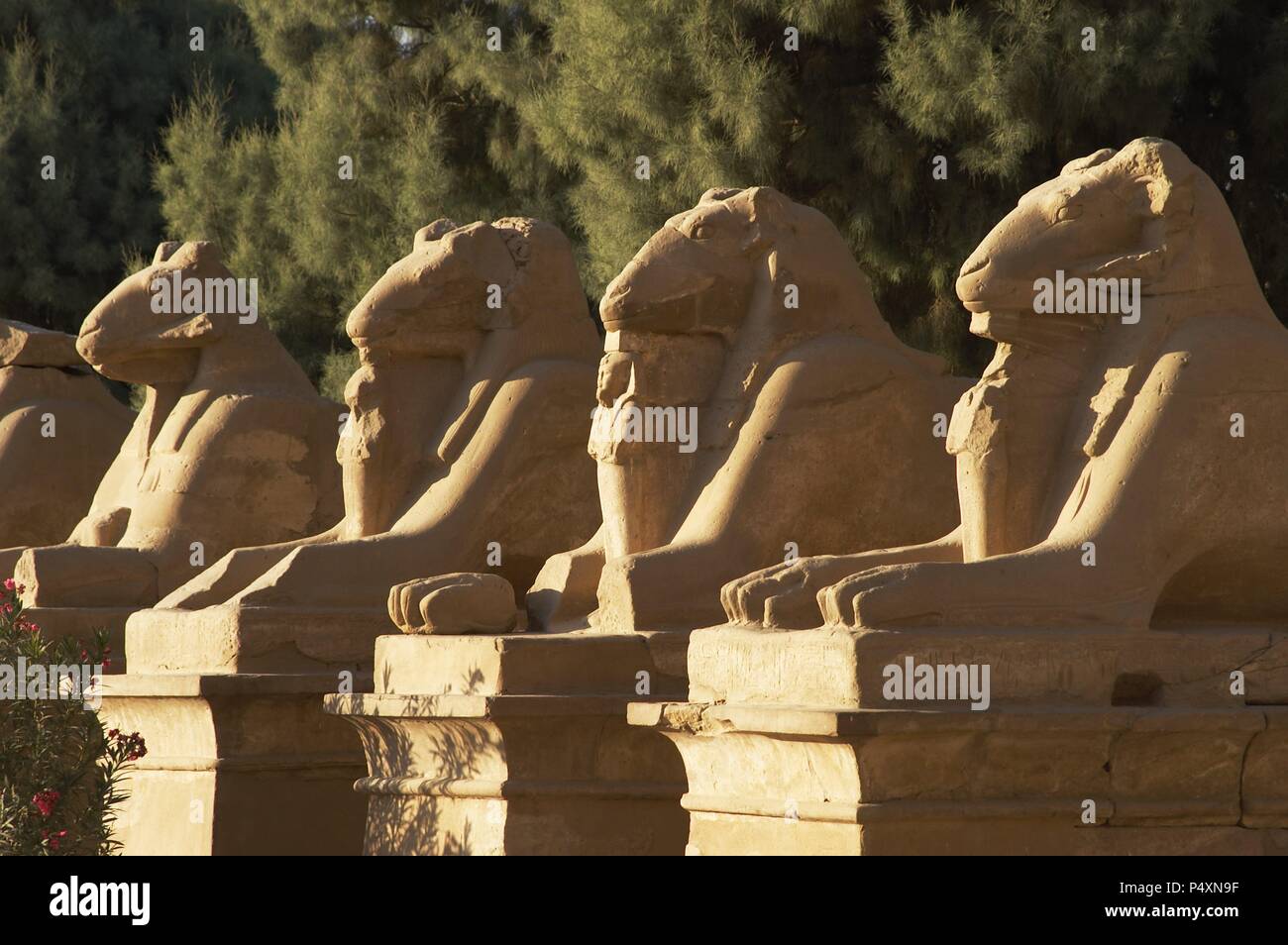 Egyptian Art. Karnak Temple. Avenue of sphinxes with ram's head (symbol of the god Amon). Built during the reign of Ramses II. 19th Dynasty. New Kingdom. Around Luxor. Egypt. Stock Photo
