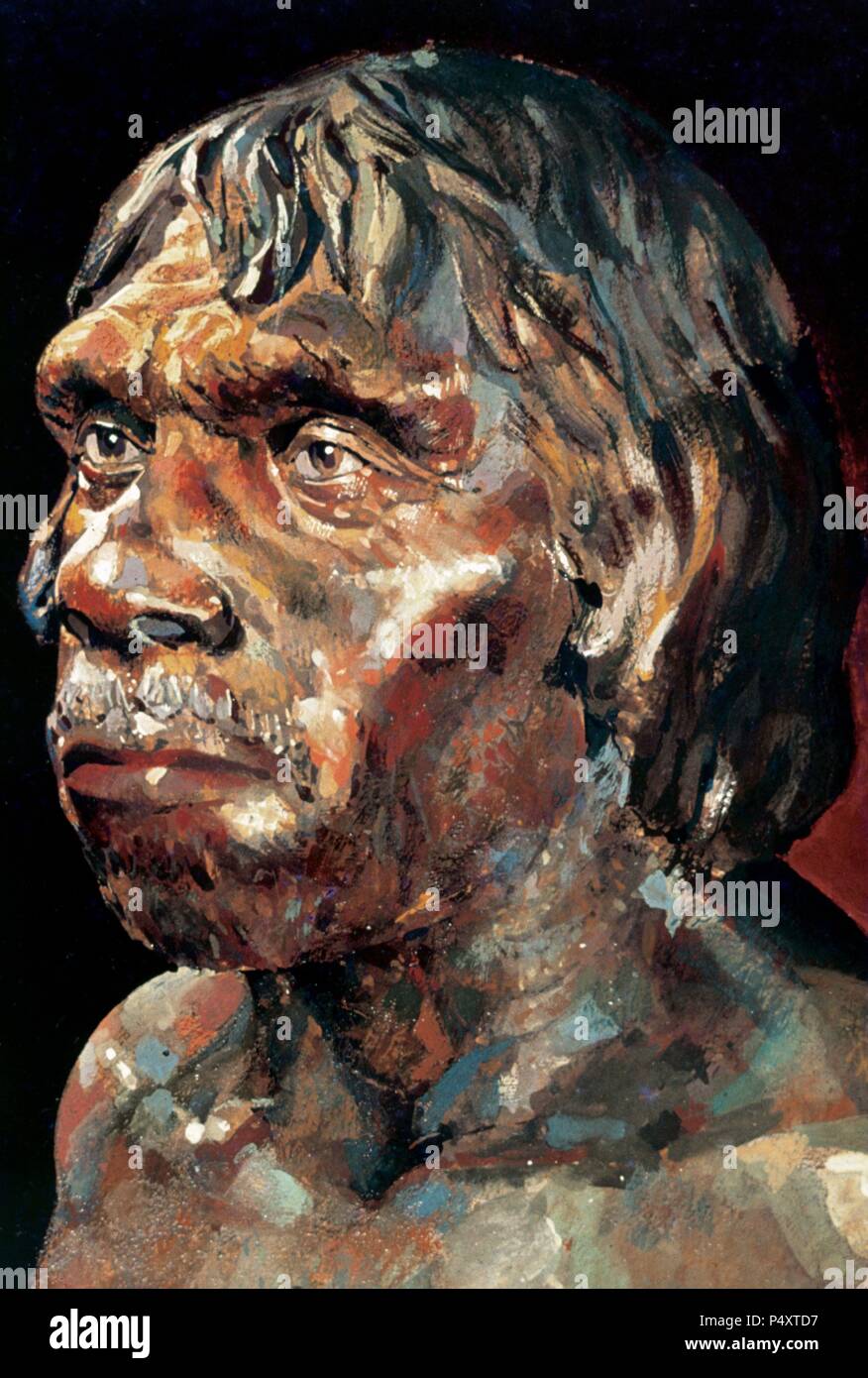 Upper Paleolithic. Drawing depicting Tautavel Man.(450,000 years old). Caune de L'Arago. Tautavel. France. Stock Photo