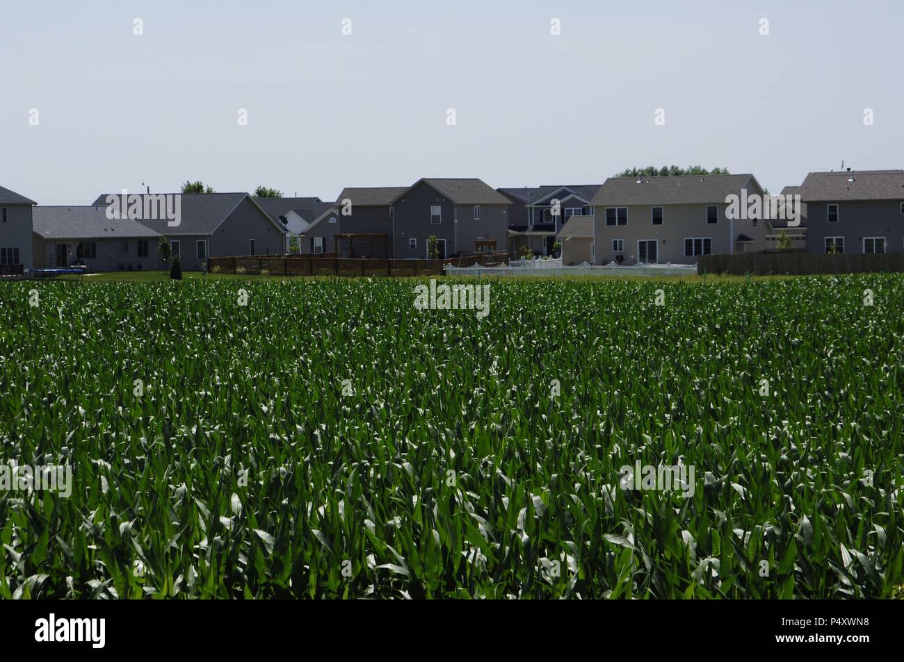 Estados de campo hi-res stock photography and images - Alamy
