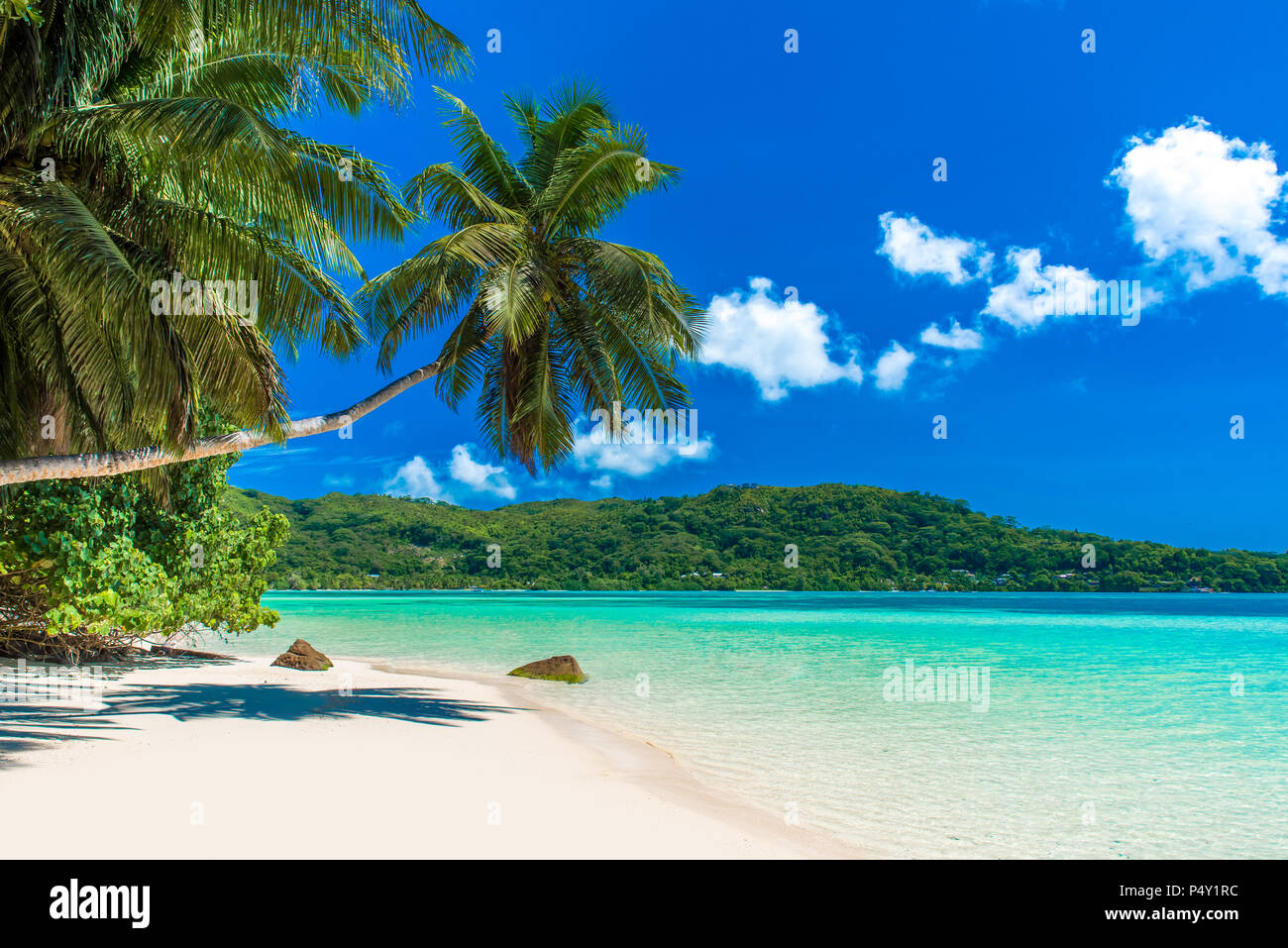 Anse a La Mouche - Paradise beach in Seychelles, Mahe Stock Photo - Alamy