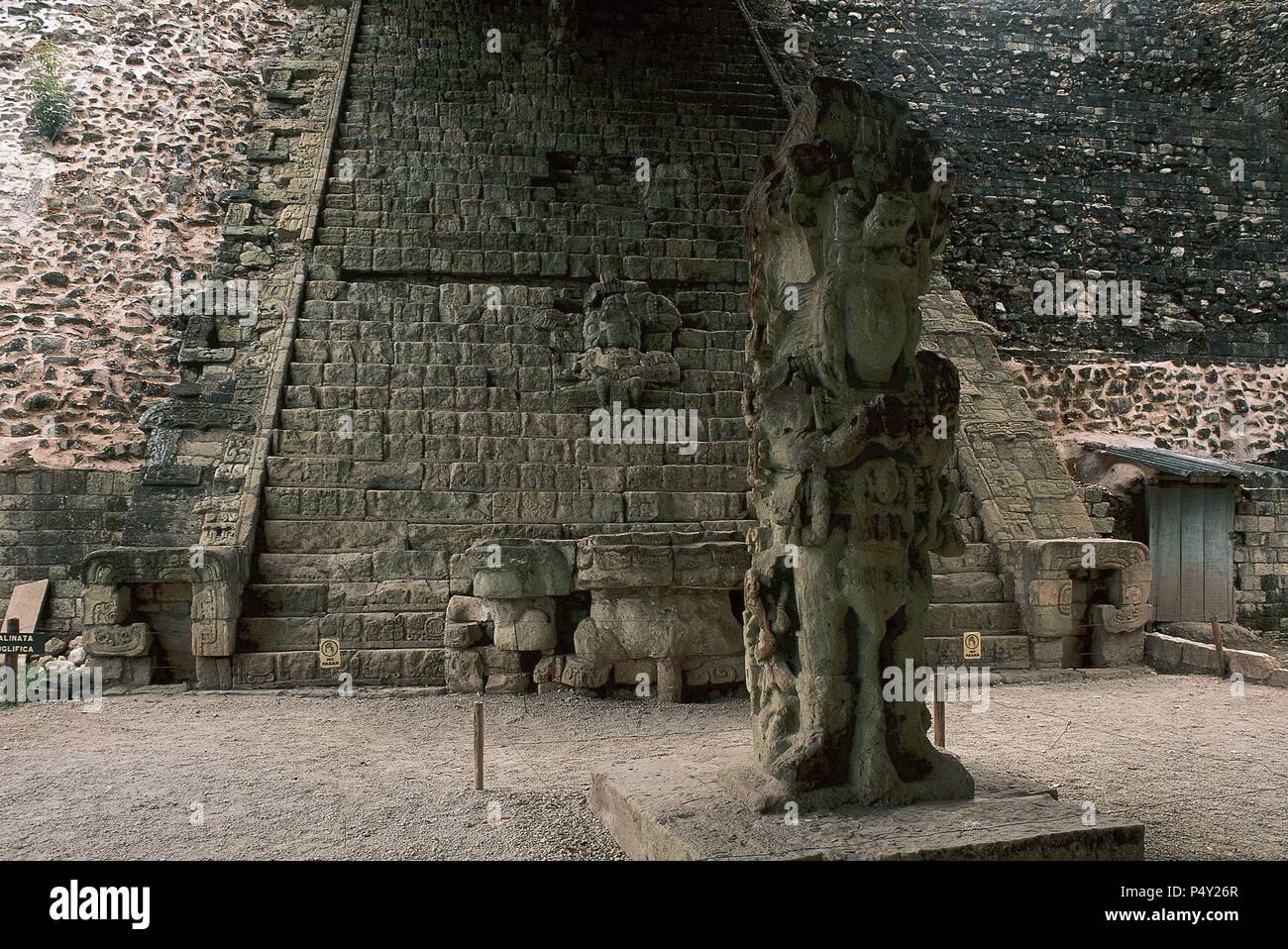 ARTE PRECOLOMBINO. MAYA. SITIO ARQUEOLOGICO DE COPAN. Una de las cuatro ciudades más importantes de la cultura maya. Su época de esplendor se dió entre el 460 y 801. Vista general de la 'ESTELA M'. Al fondo, la escalinata de los jeroglíficos. Frontera occidental de HONDURAS. Stock Photo