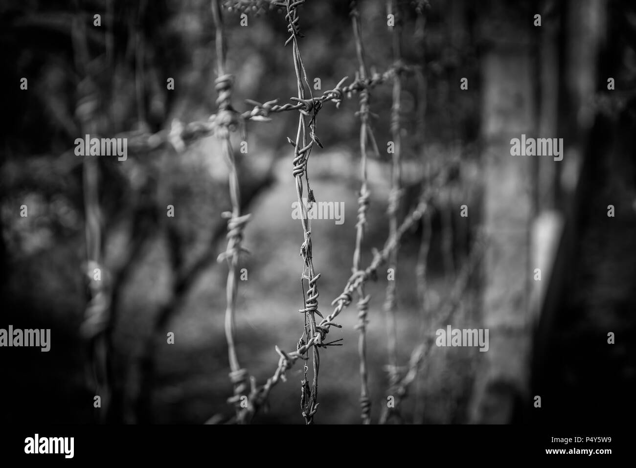 Barrier of razor wire Black and White Stock Photos & Images - Alamy
