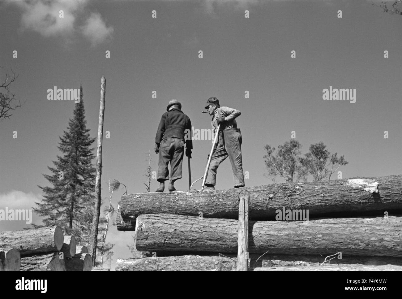 Lumberjacks on Carload of Timber, near Effie, Minnesota, USA, Russell