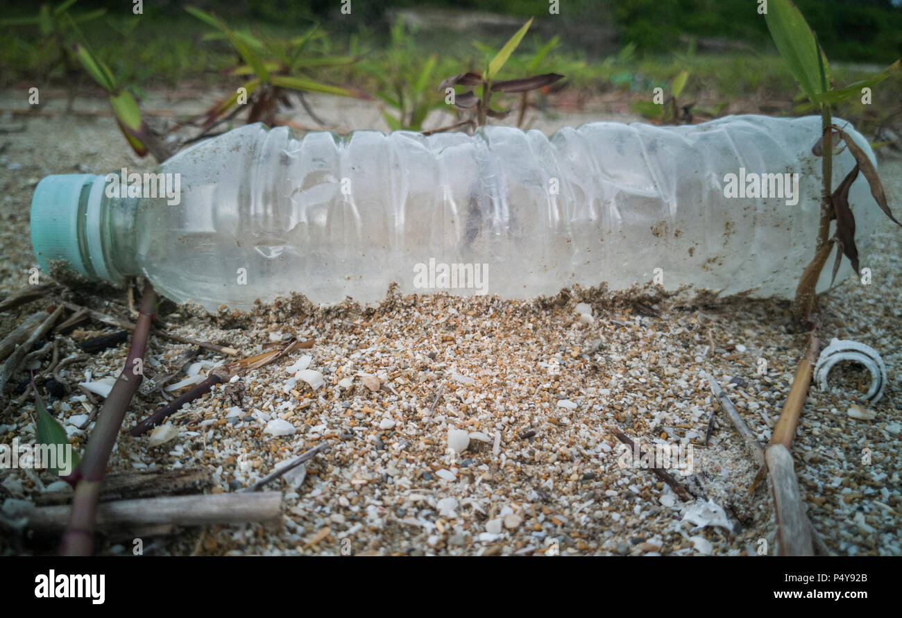 Empty single use plastic bottle washed up on beach Stock Photo