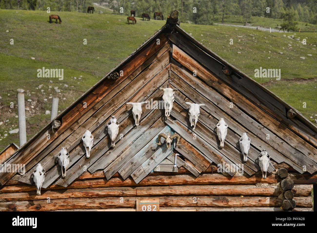 Wood home in ethnic Tuvan village, Kanas Lake National Park, Xinjiang, China Stock Photo
