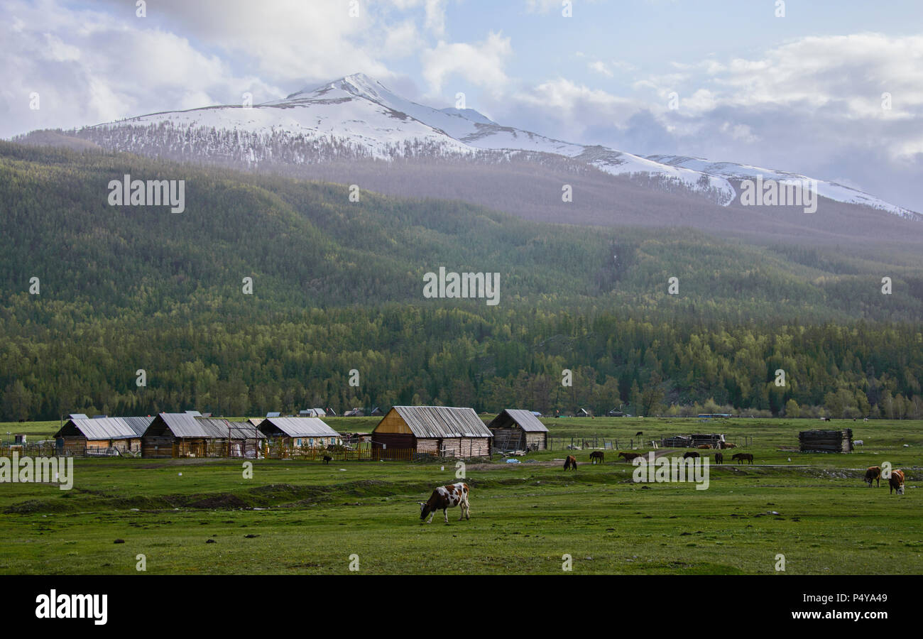 Tuvan village, Kanas Lake National Park, Xinjiang, China Stock Photo