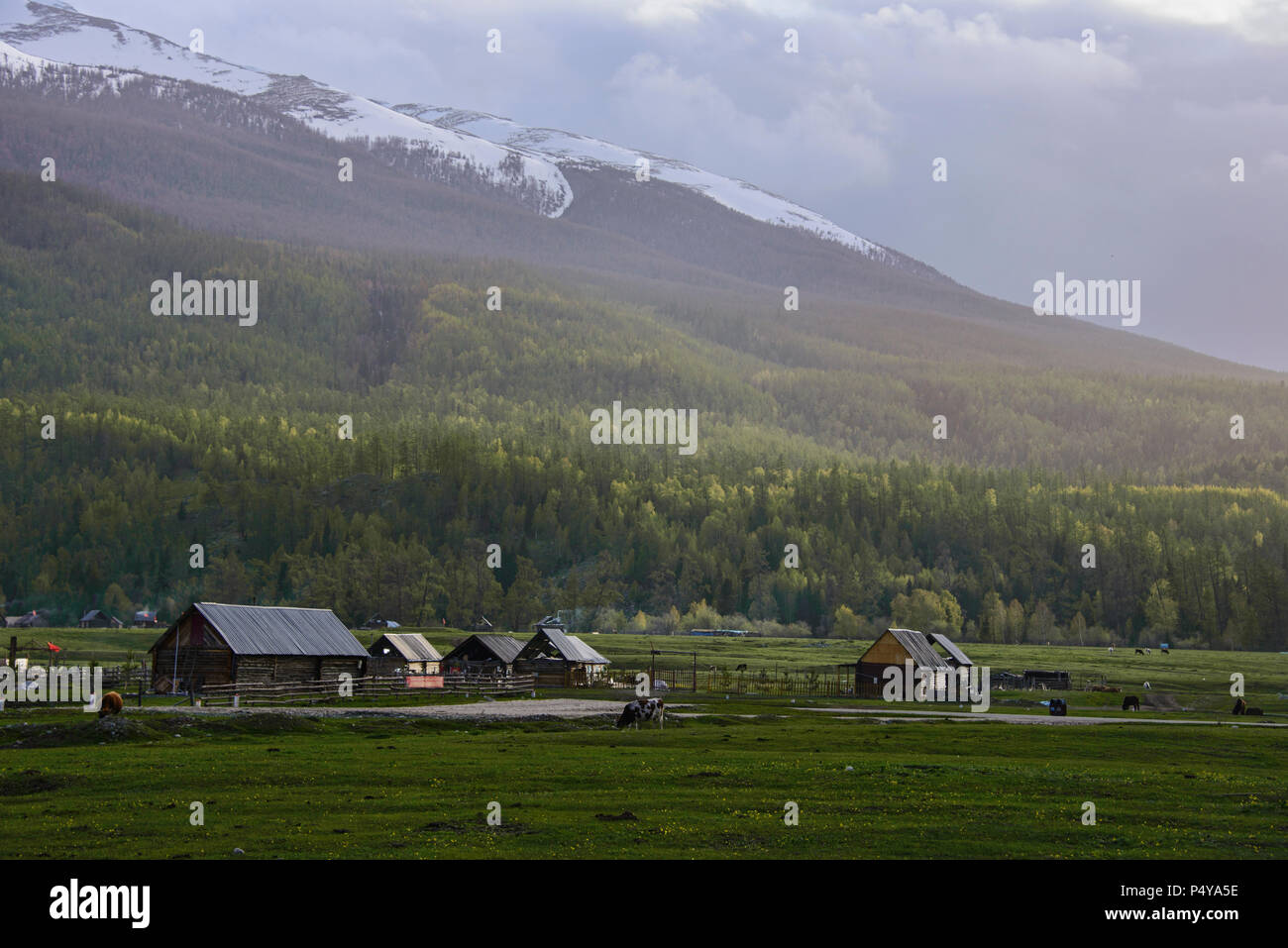 Tuvan village, Kanas Lake National Park, Xinjiang, China Stock Photo