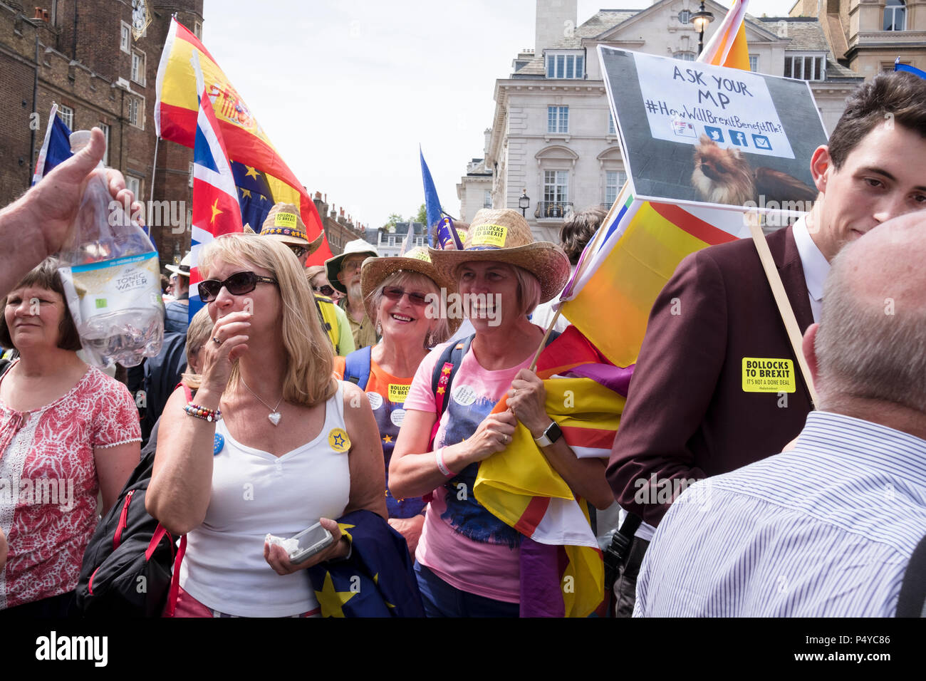 London, UK. 23rd June 2018. More than 100,000 people have marched through central London to demand a final vote on any UK exit deal, on the second anniversary of the Brexit vote. Anti-Brexit marchers travelled from across the country to join the rally, organised by a number of Westminster-based and grassroots lobbying groups and marks the launch of a nationwide petition for a “People's Vote”. London, UK. 23 June 2018 Credit: Mike Abrahams/Alamy Live News Stock Photo