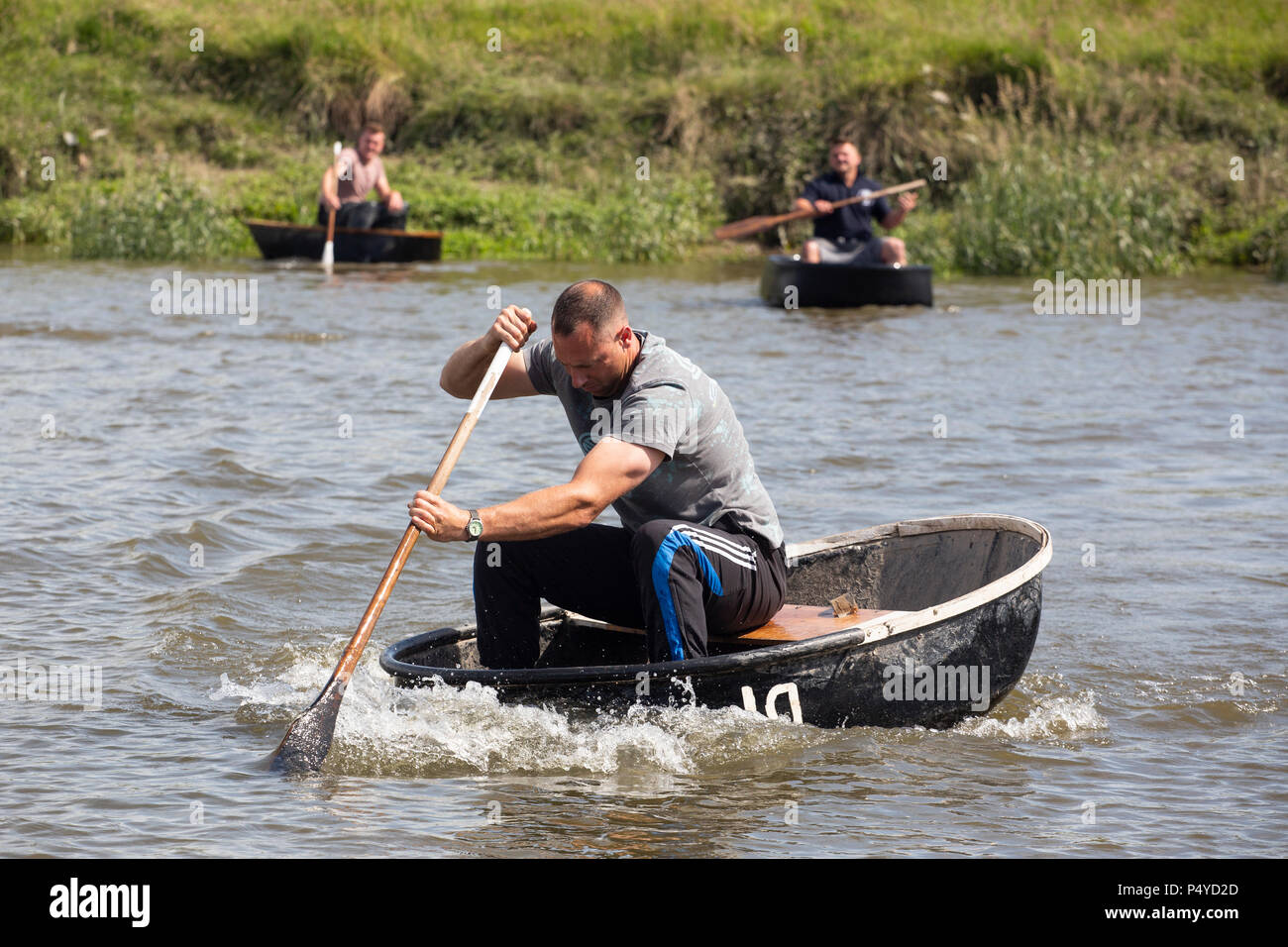 Racing in coracles, ancient fishing boats on the river Tywi / Towy at Carmarthen, Carmarthenshire, Wales Stock Photo