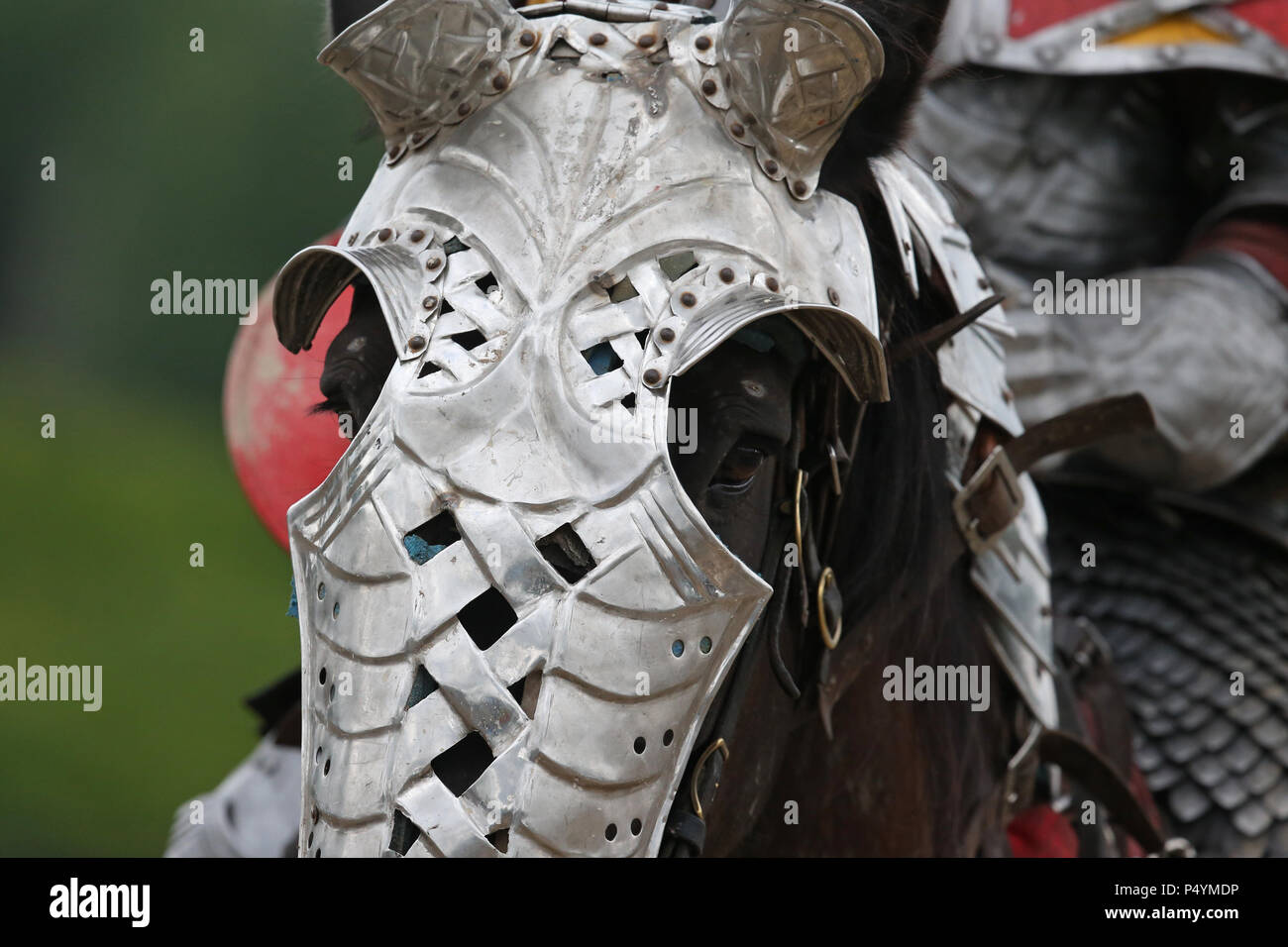 June 23rd 2018, Dorchester Ontario Canada, Oxford Renaissance Festival.  People from all over Ontario camee dressed up in their costumes.  This 2 day festival has a little something for everyone, From venders to archery to a real live joust. Luke Durda/Alamy Live news Stock Photo
