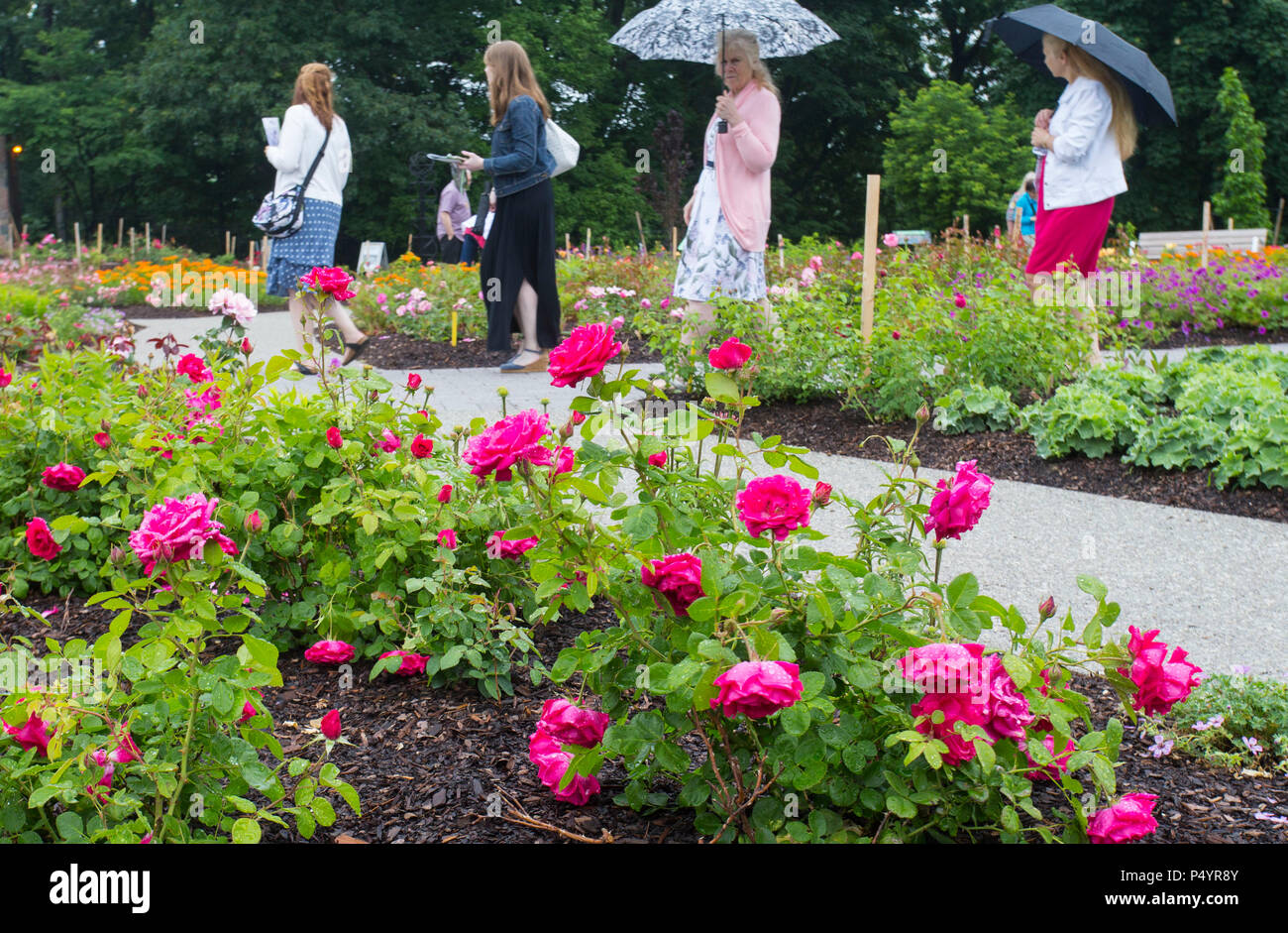 Burlington, Canada. 23rd June, 2018. People visit the Rose Garden of