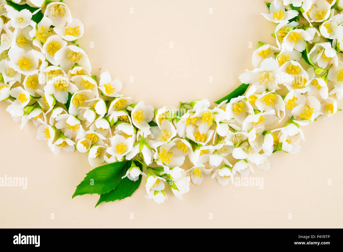 Blooming jasmine flower in a beautiful garland for a spring holiday