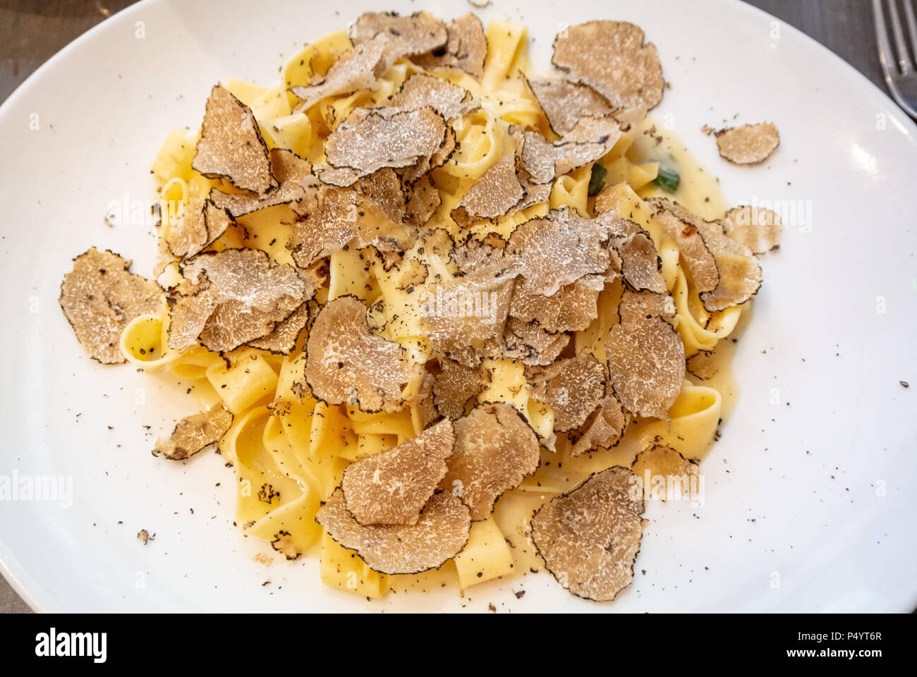 pasta with Black truffle mushroom Stock Photo