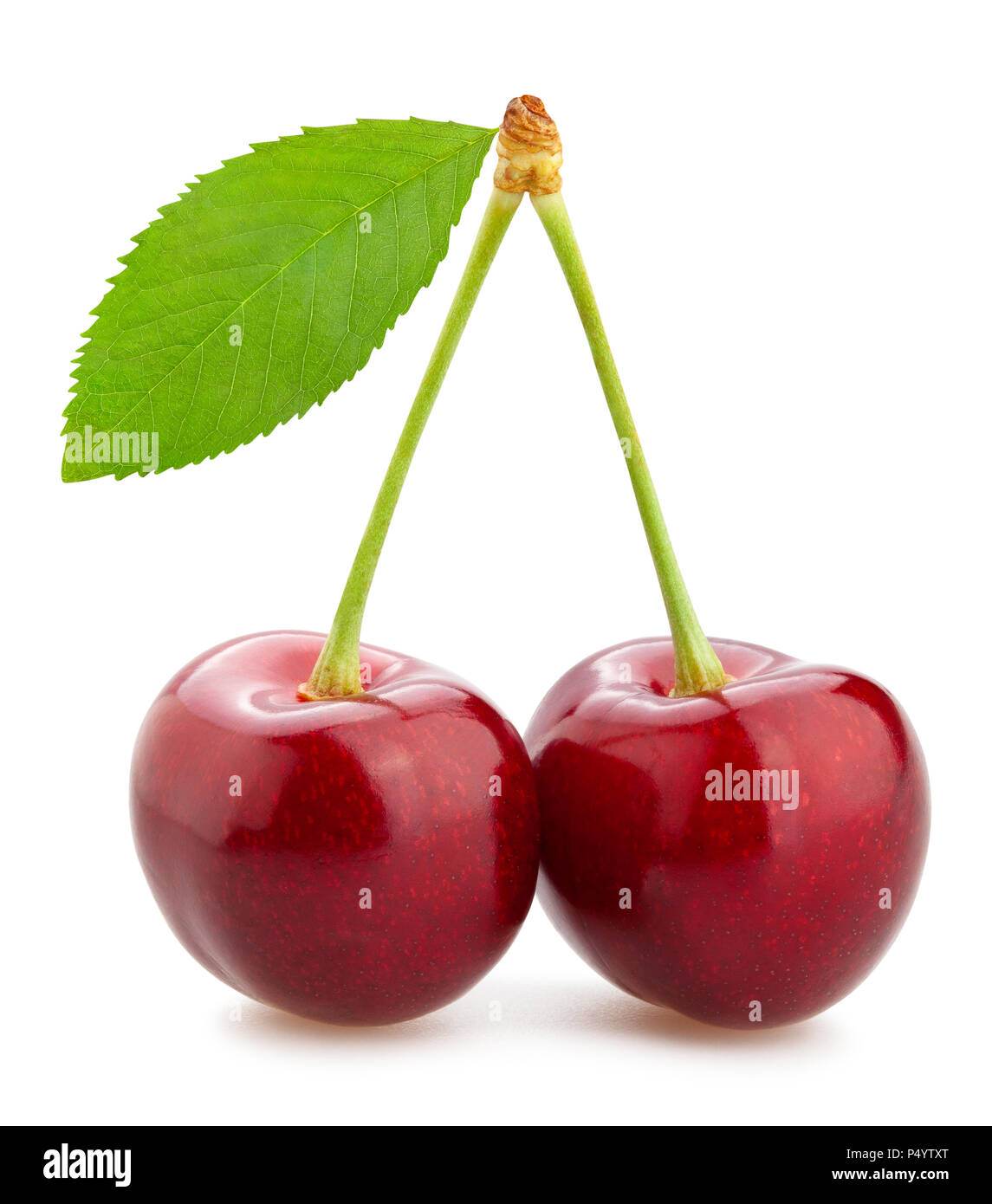cherry path isolated Stock Photo