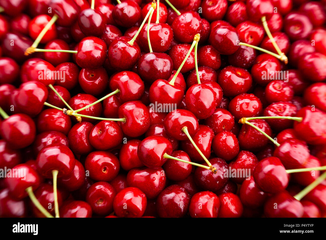 healthy-organic-red-cherry-hi-res-stock-photography-and-images-alamy