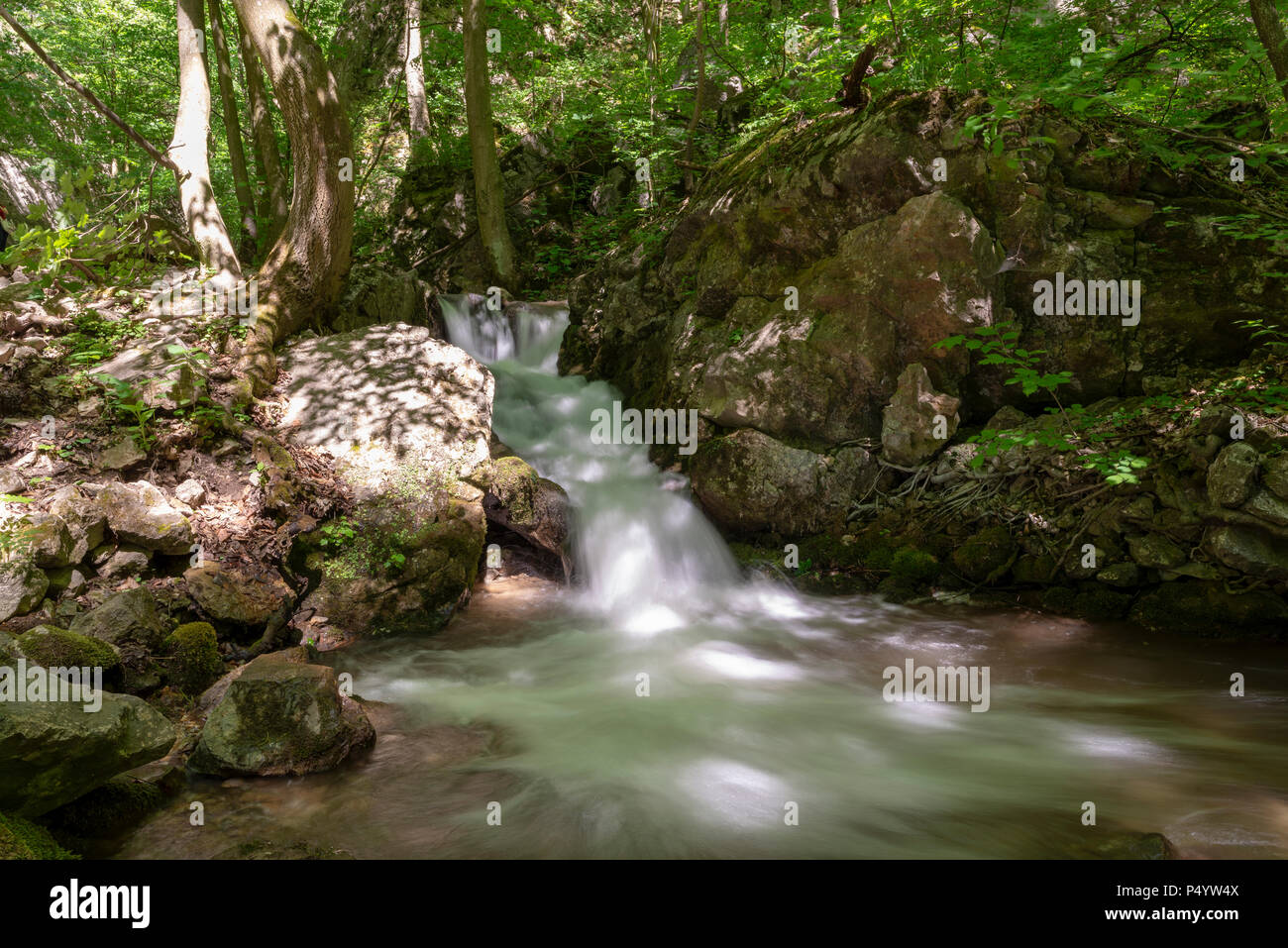 Waterfall on stream in forest in Zadiel valley in Slovakia Stock Photo