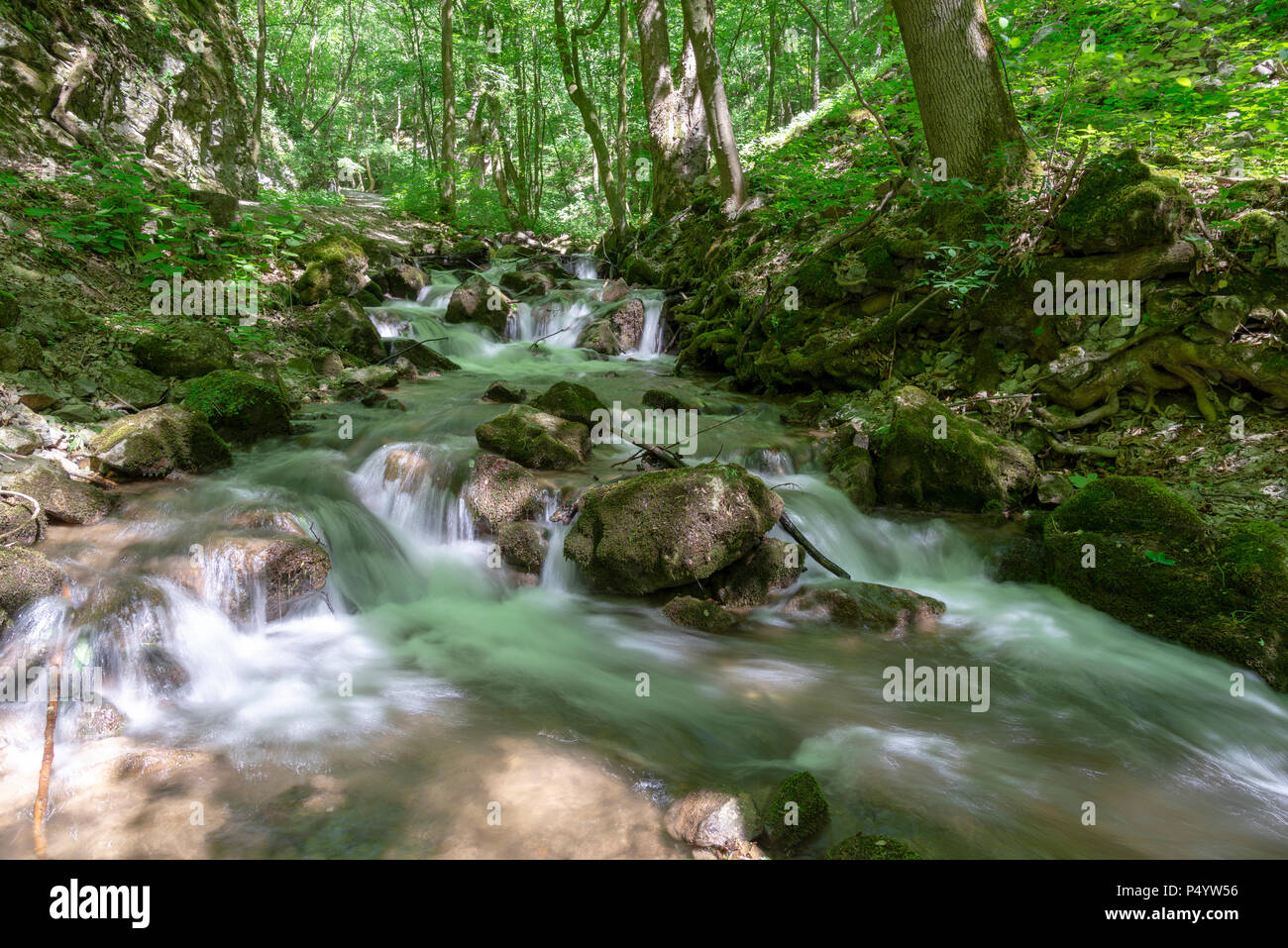 Waterfall on stream in forest in Zadiel valley in Slovakia Stock Photo