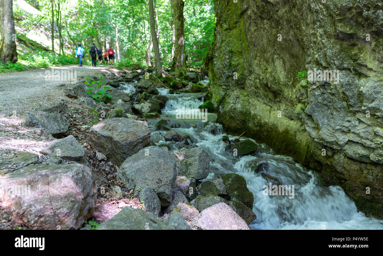Tourist path and stream in forest in Zadiel valley in Slovakia Stock Photo