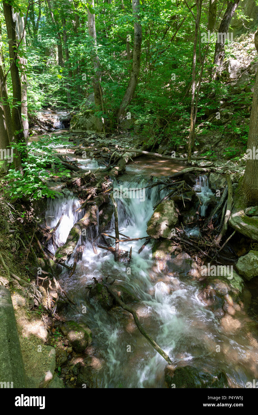 Waterfall on stream in forest in Zadiel valley in Slovakia Stock Photo