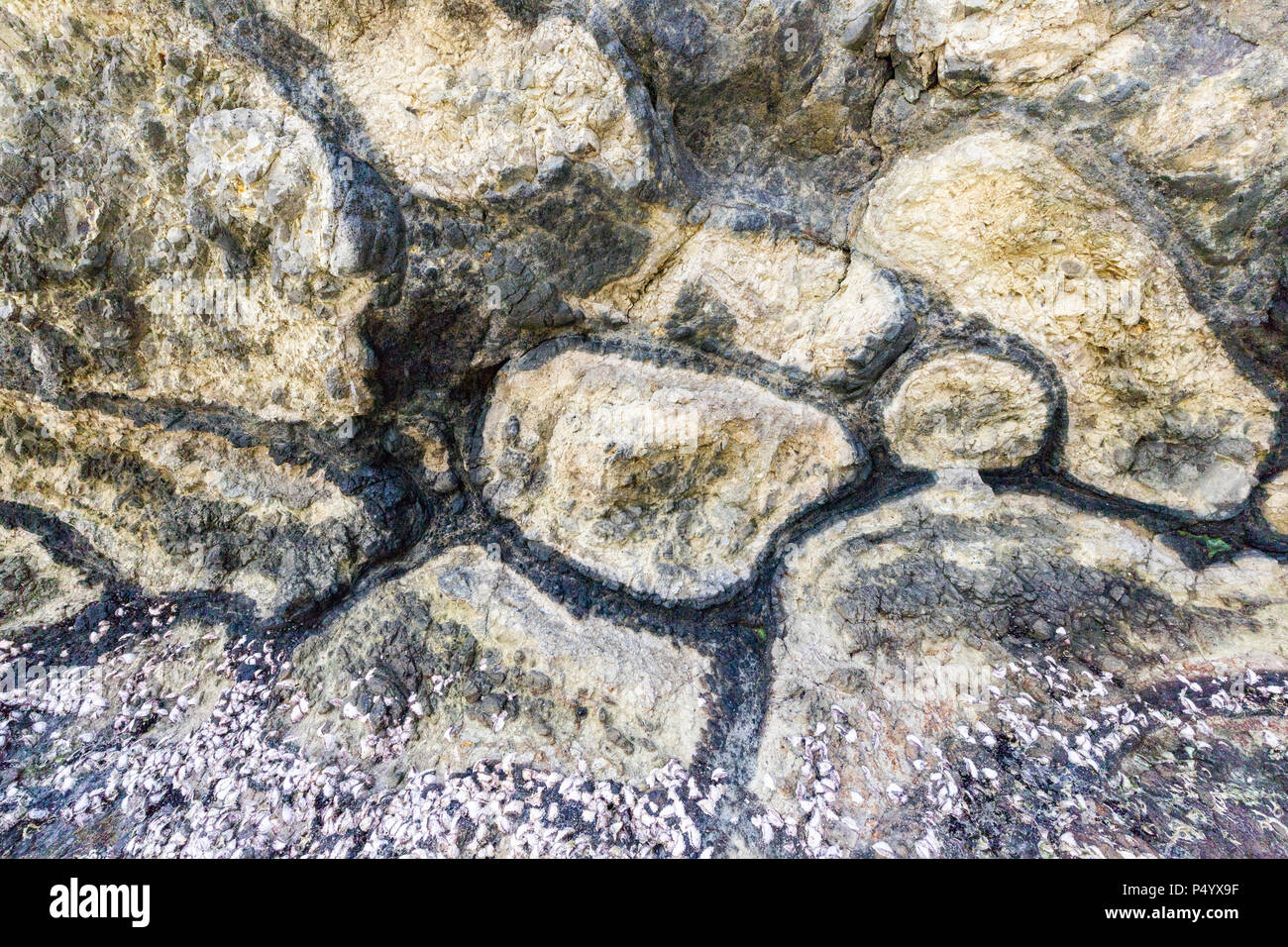 Pillow lava hires stock photography and images Alamy