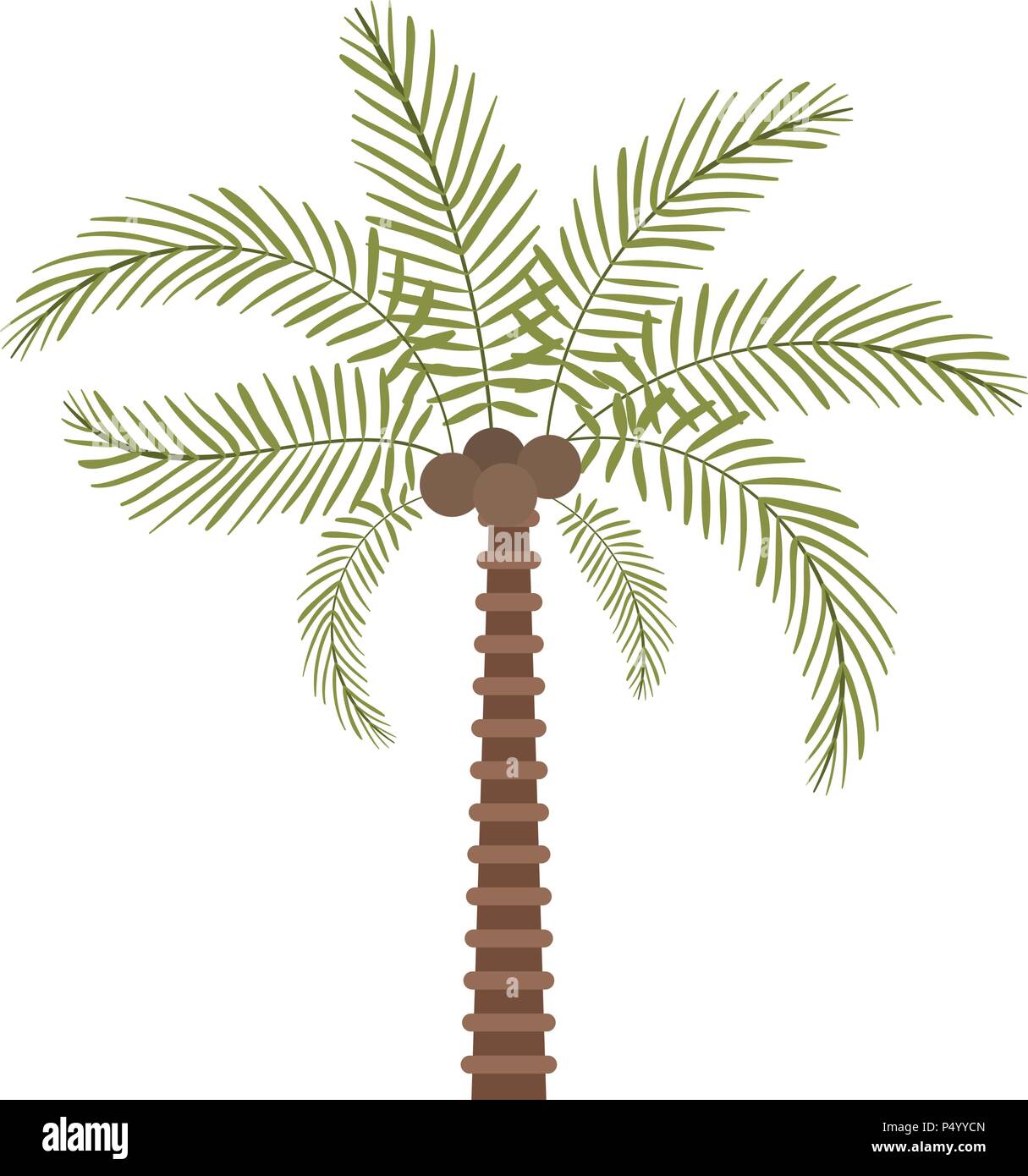 tree palm natural icon Stock Vector Image & Art - Alamy