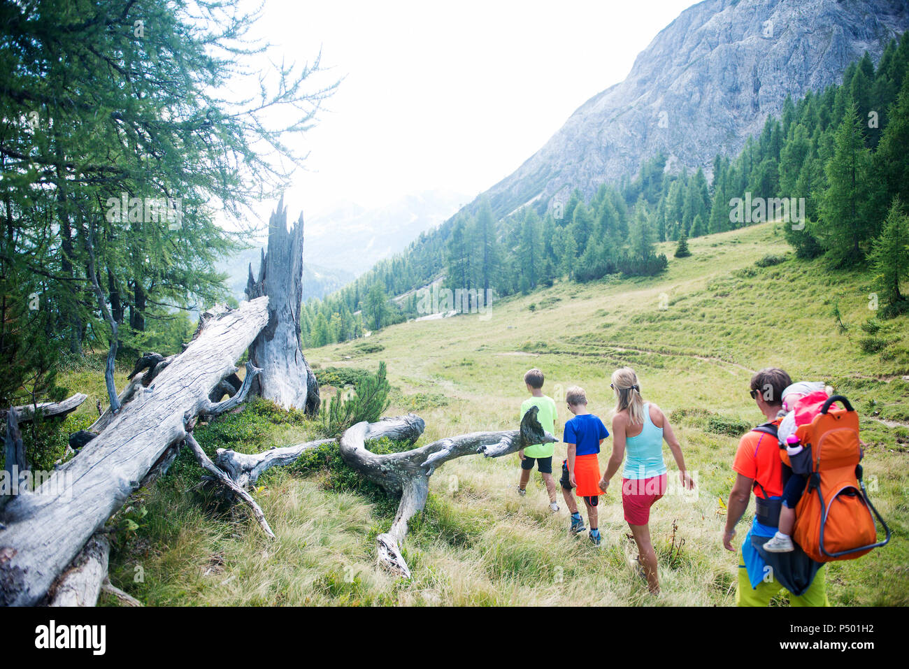 Family hiking in alpine meadow Stock Photo - Alamy