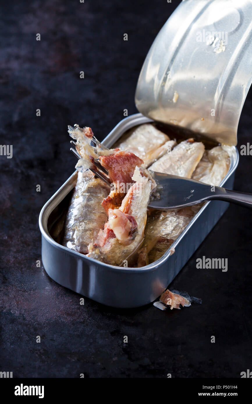 Opened sardine can and fork Stock Photo