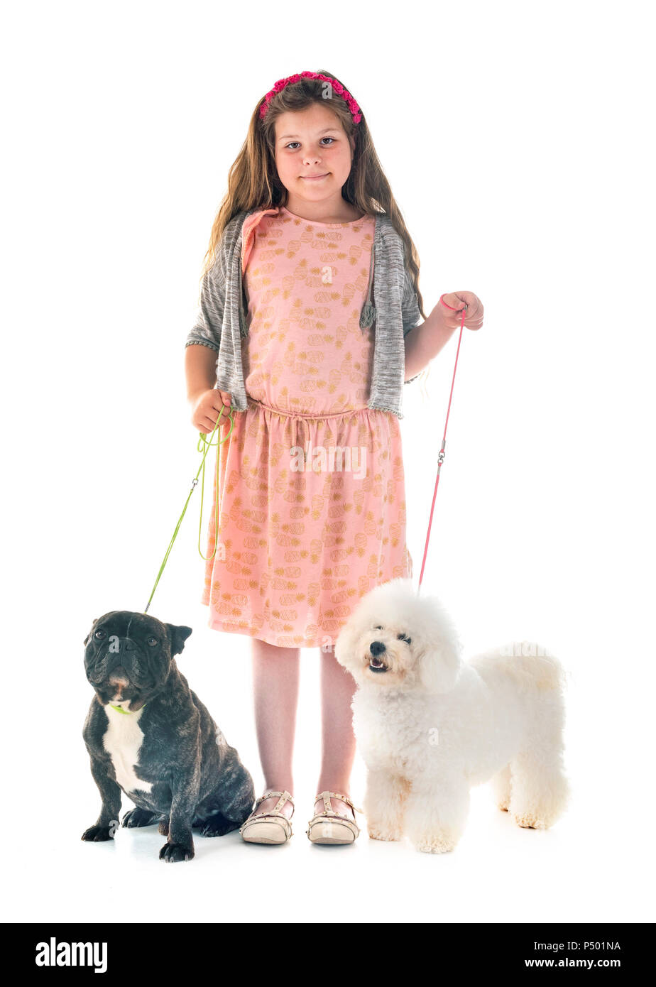 young girl with her little dogs in studio Stock Photo - Alamy
