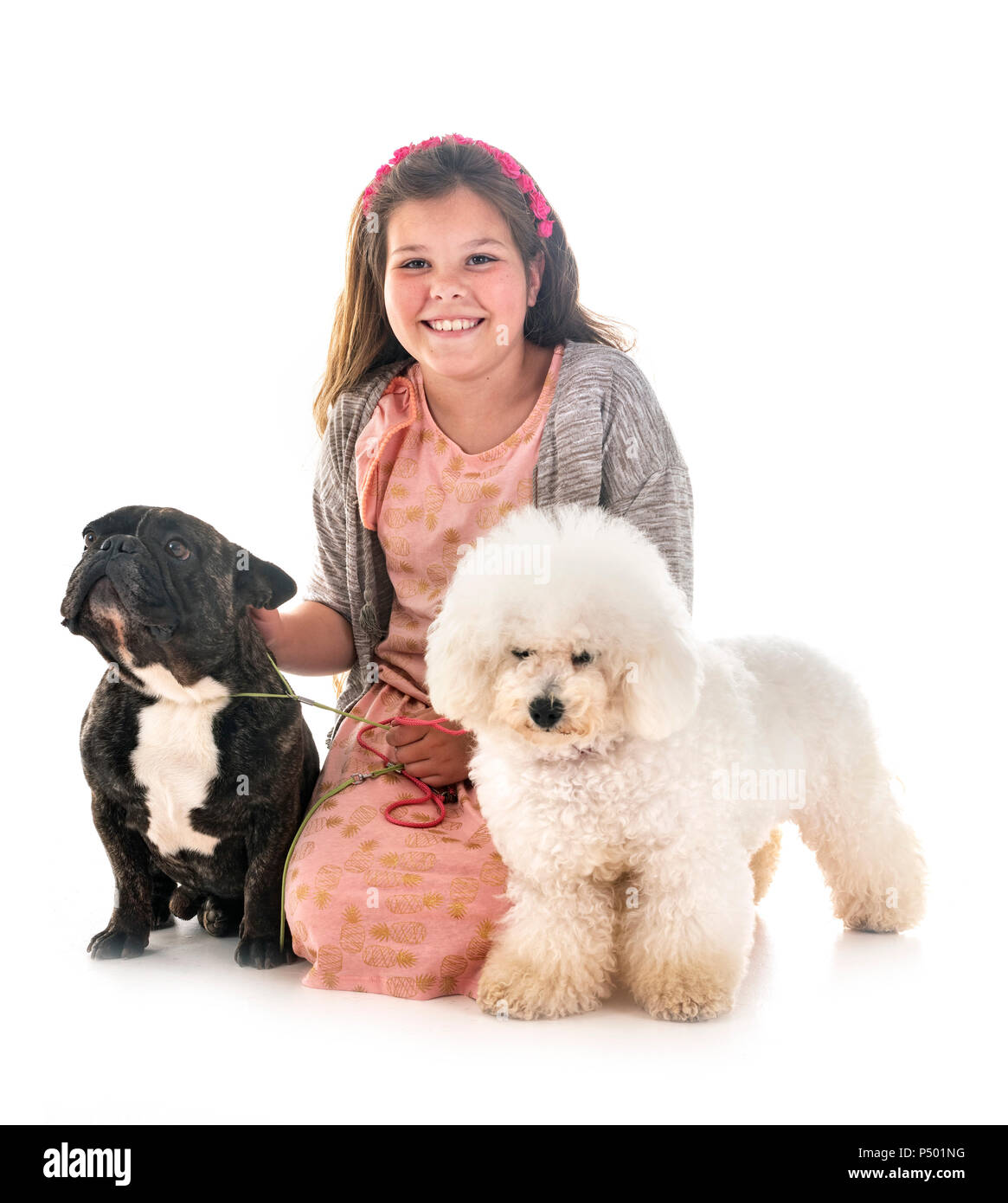 young girl with her little dogs in studio Stock Photo - Alamy