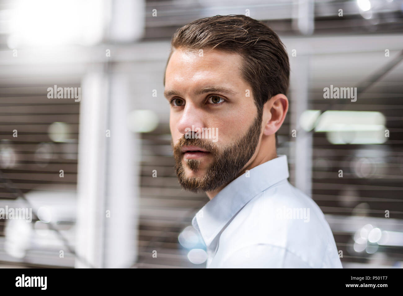 Portrait bearded hi-res stock photography and images - Alamy