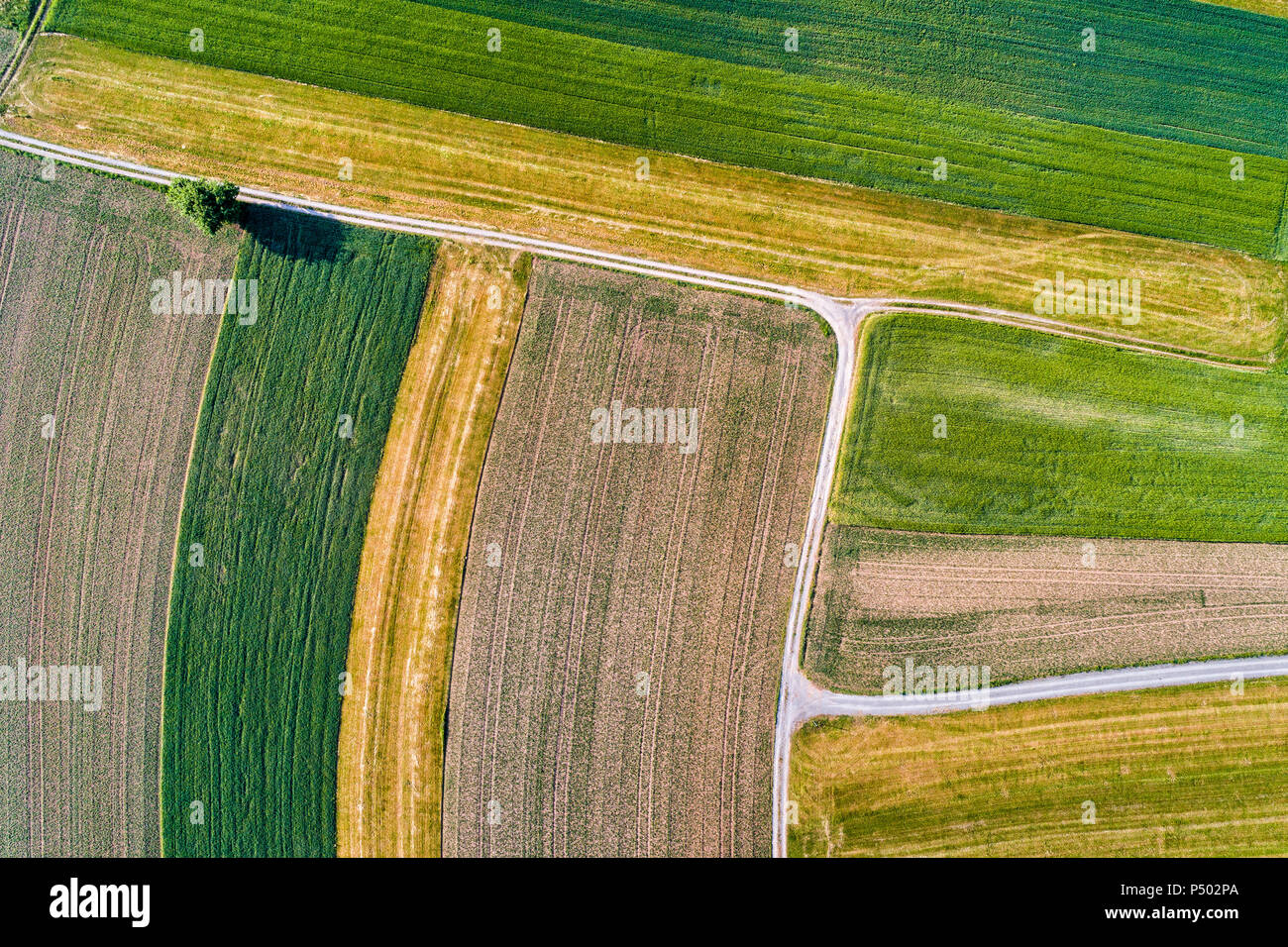 Germany, Baden-Wuerttemberg, Rems-Murr-Kreis, Aerial view of fields Stock Photo