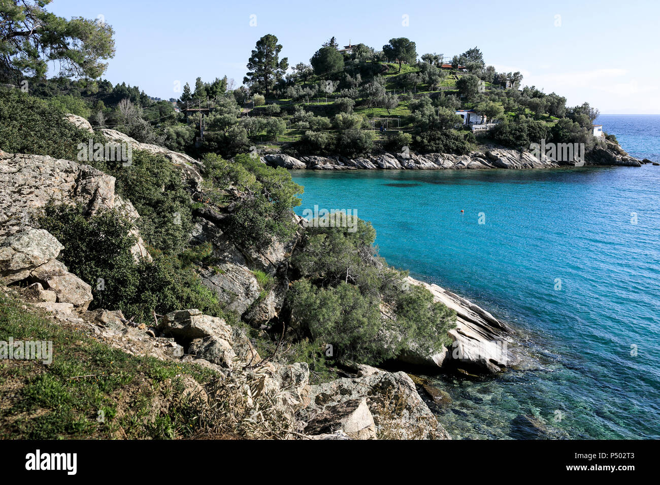Greece, Chalkidiki, coast at Nikiti Stock Photo