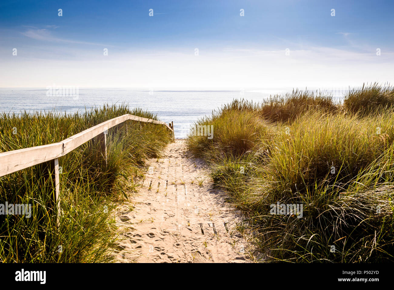 From the dunes, Westerland, Sylt, Schleswig-Holstein, Germany