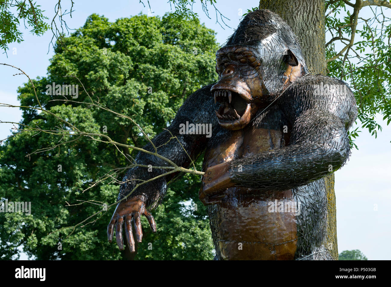 Gorilla sculpture on display at the British Iron Work Centre tourist ...