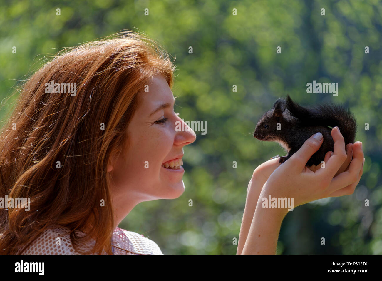 Happy teenage girl holding tame squirrel in her hands Stock Photo