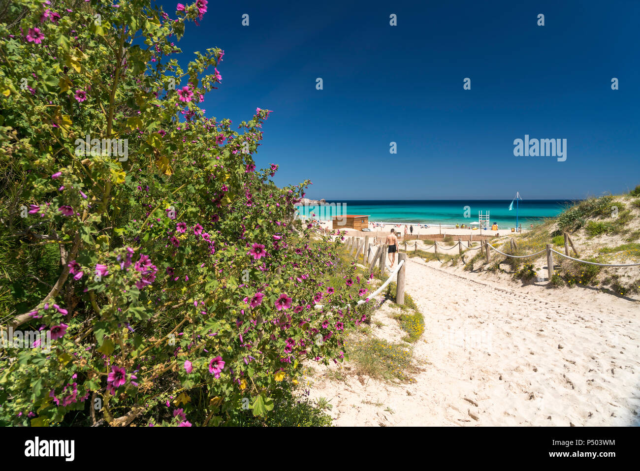 Spain, Balearic Islands, Mallorca, Cala Rajada, Cala Agulla, bay and beach Stock Photo