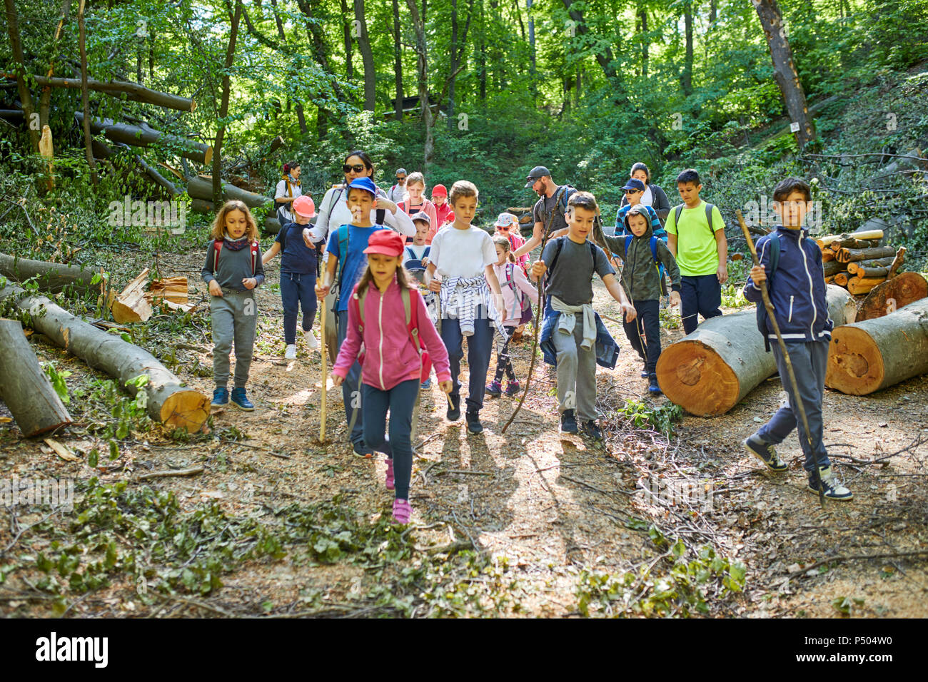Adults and kids on a field trip in forest Stock Photo Alamy