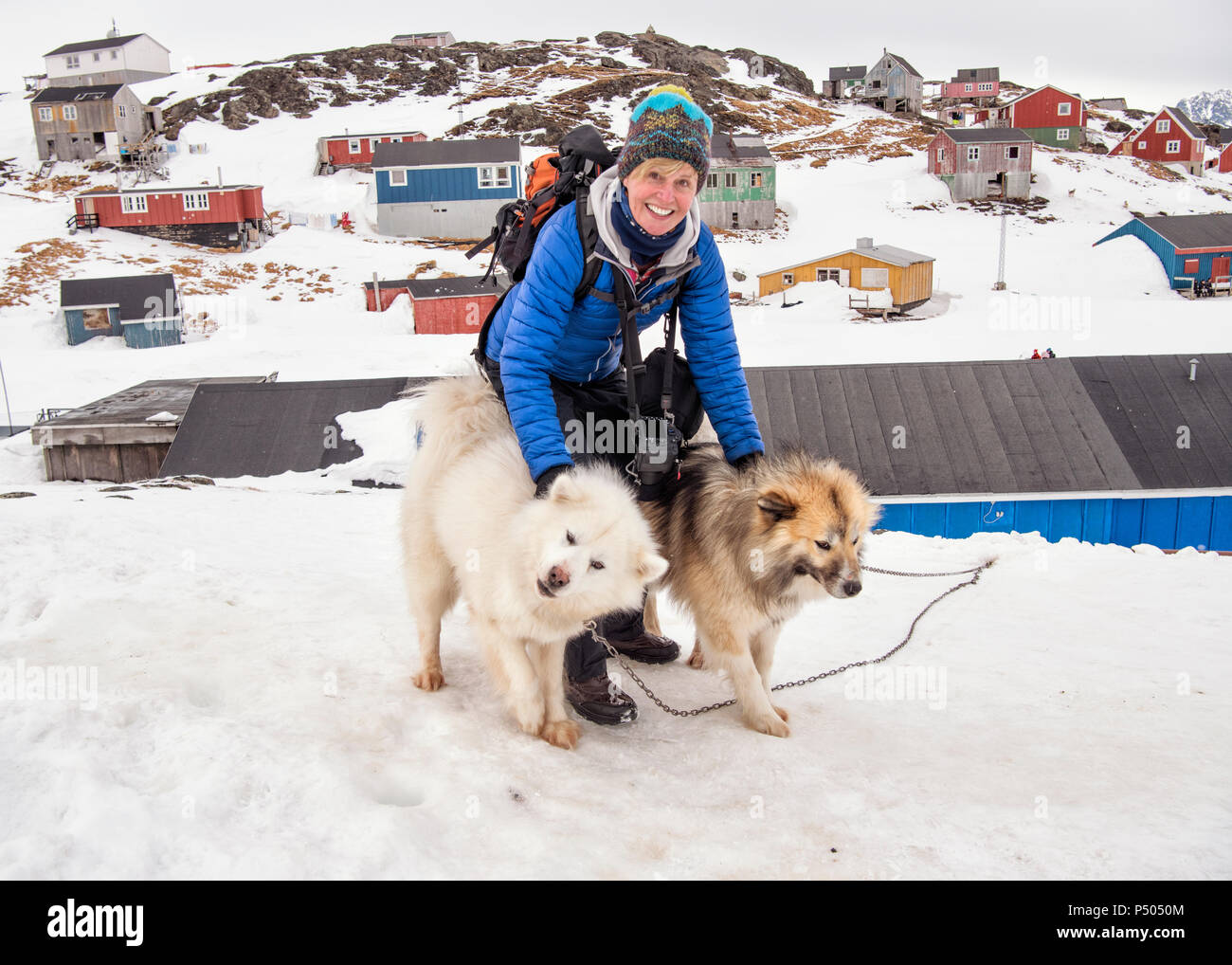 Greenland, Kulusuk, woman with Greenland huskies Stock Photo