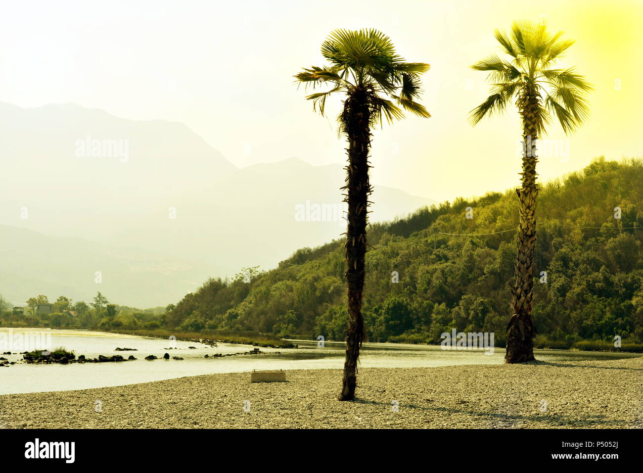 Two palms on the beach with mountains in warm colors. Stock Photo