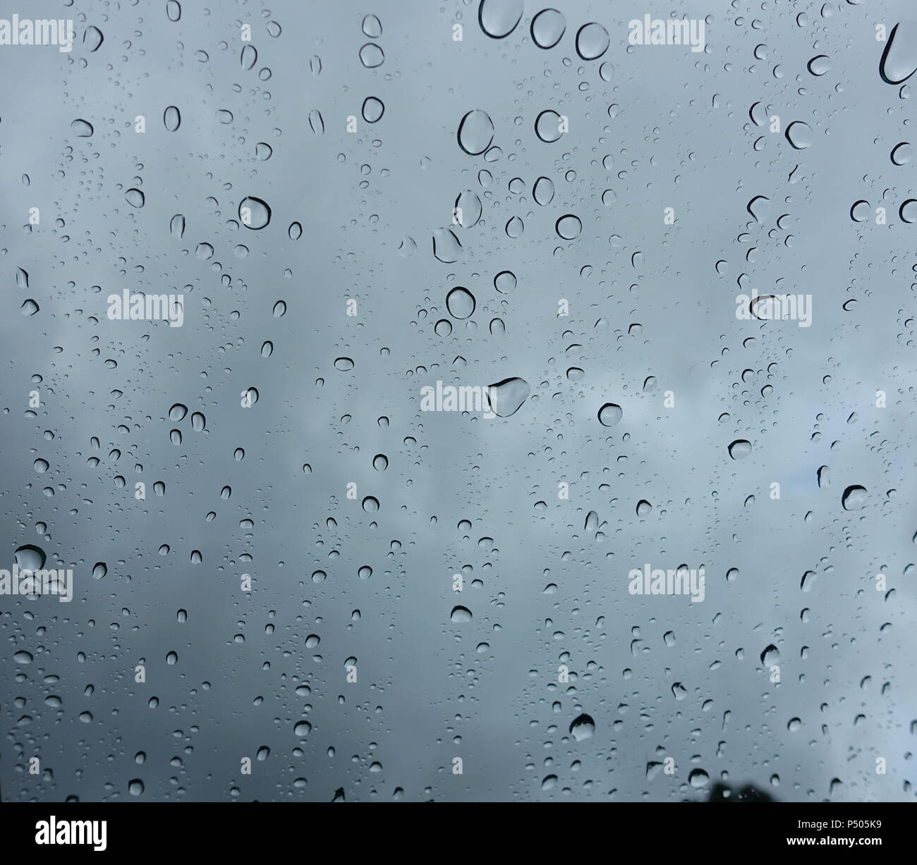 Rain drops on the window on a cloudy day. Stock Photo