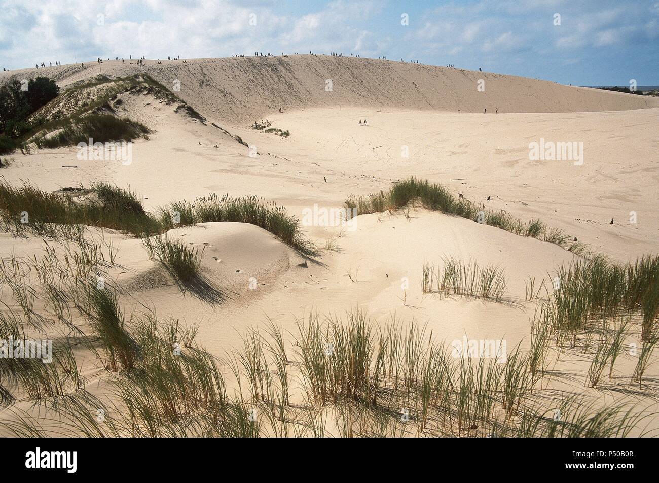 POLAND. Slowinski Park. Landscape with dunes. The dunes come to about 50 m. high. Near Leba. Western Pomerania Stock Photo - Alamy