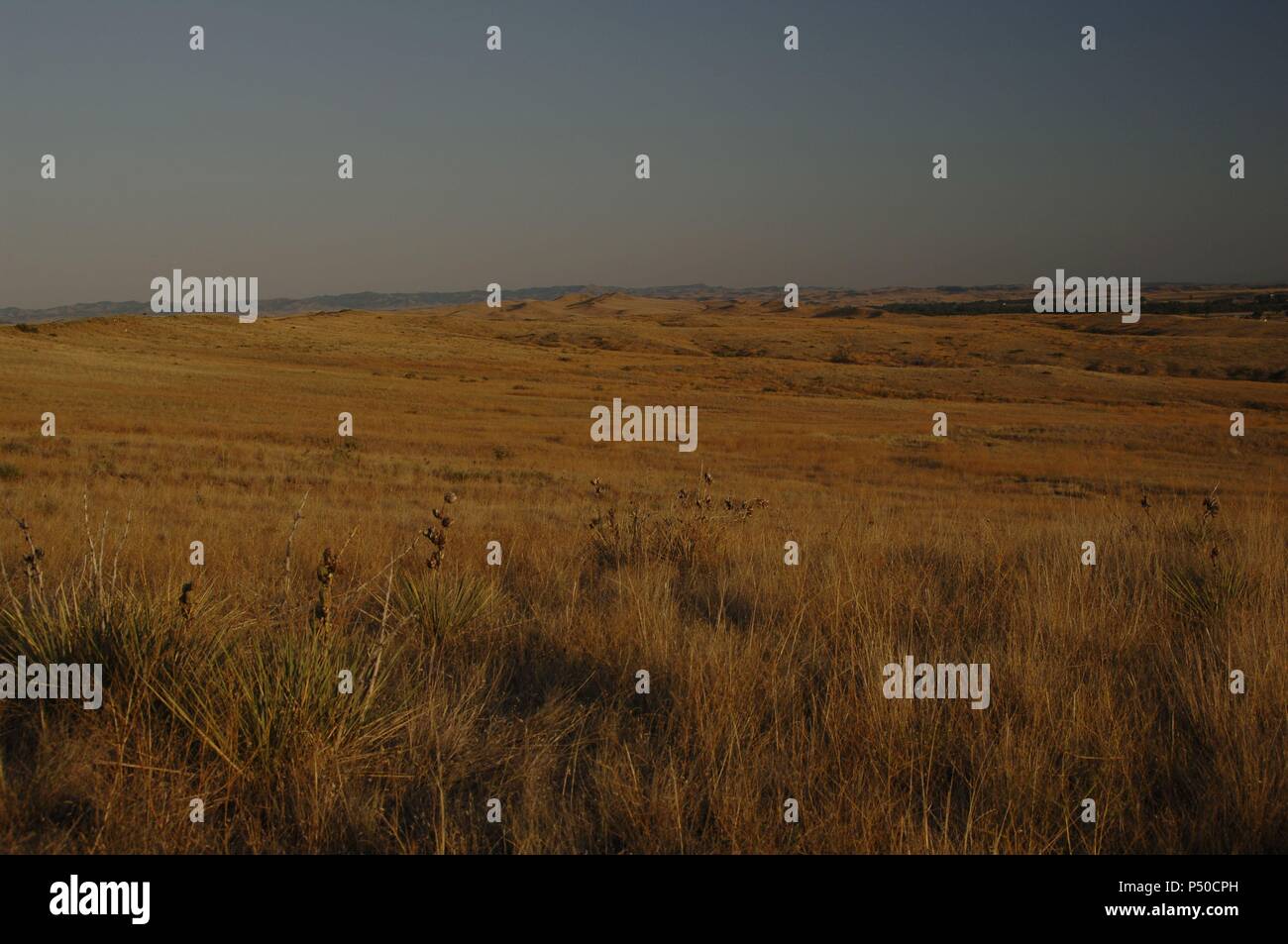 Estados de campo hi-res stock photography and images - Alamy