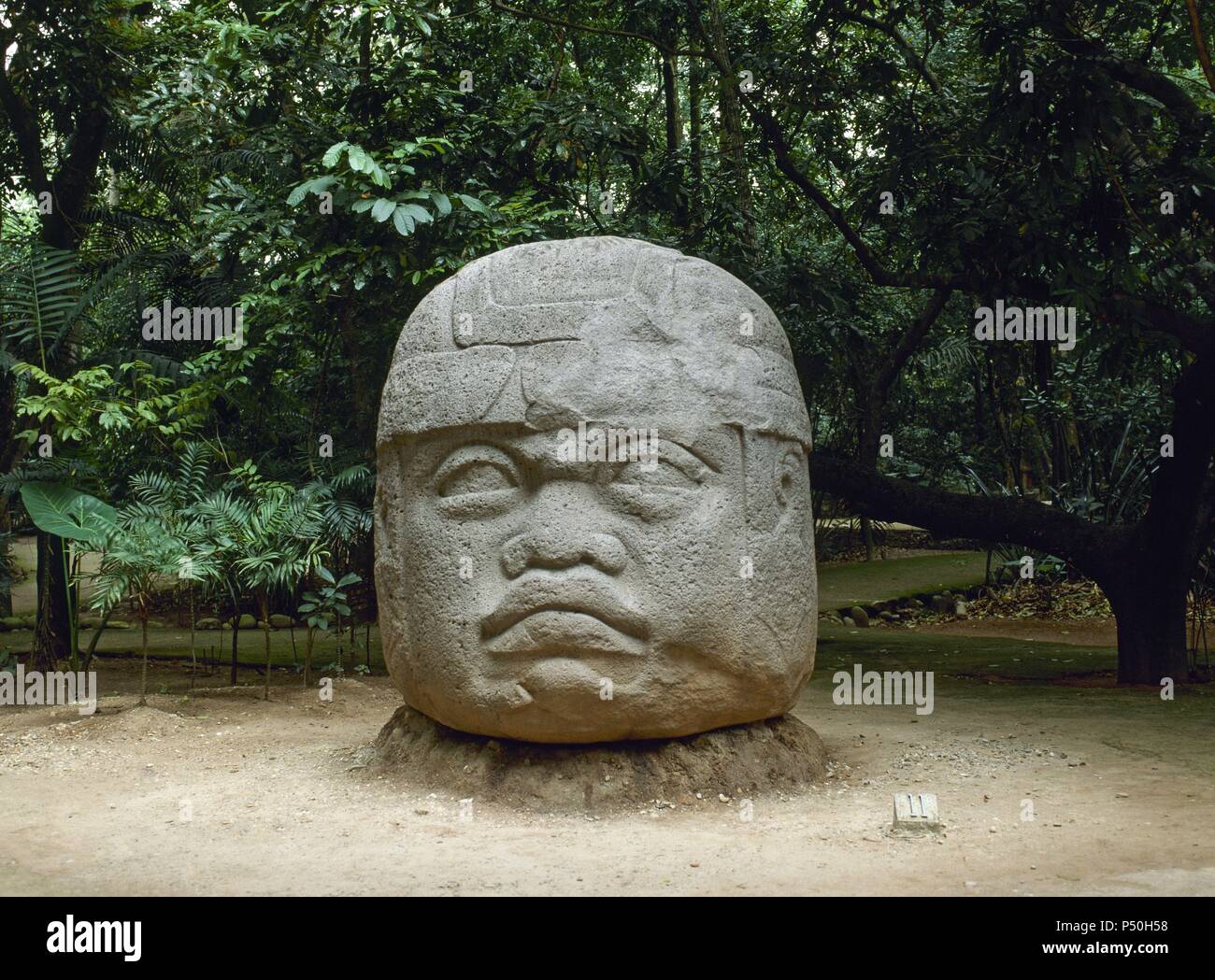 ARTE PRECOLOMBINO. MEXICO. OLMECAS. Cultura desarrollada por los pueblos mexicanos de Tabasco y parte meridional de Veracruz. PARQUE-MUSEO LA VENTA. Muestra esculturas olmecas procedentes del sitio arqueológico de La Venta (1300-200 a. C.). Vista de una CABEZA COLOSAL. VILLAHERMOSA. Estado de Tabasco. Stock Photo