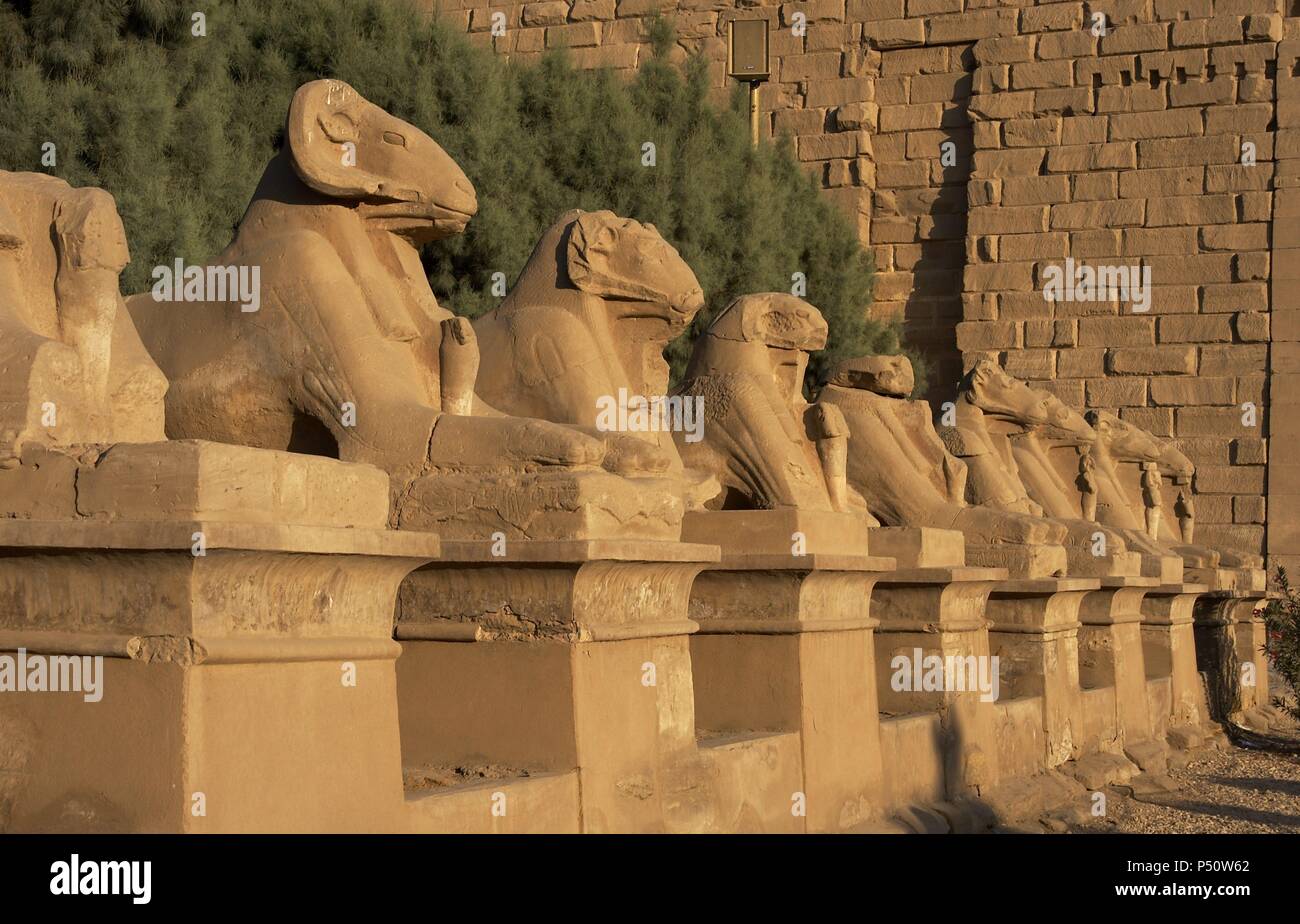 Egyptian Art. Karnak Temple. Avenue of sphinxes with ram's head (symbol of the god Amon). Built during the reign of Ramses II. 19th Dynasty. New Kingdom. Around Luxor. Egypt. Stock Photo