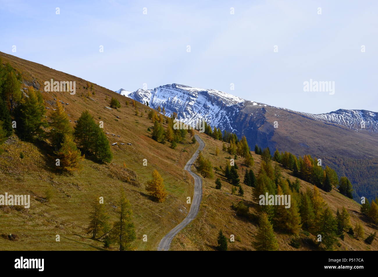 Fall foliage calendar hires stock photography and images Alamy